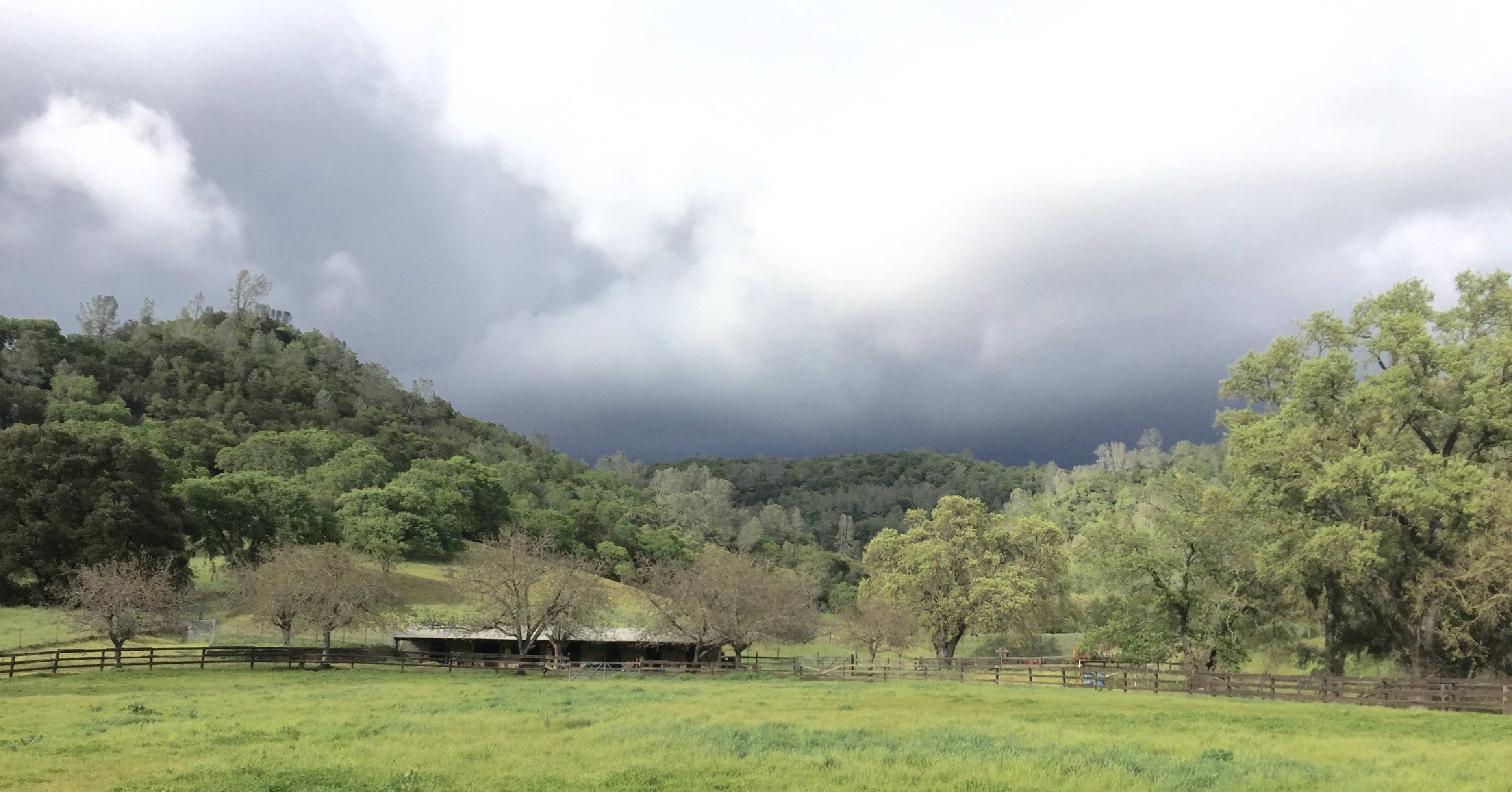 A grassy landscape with scattered trees, a barn, and dark storm clouds gathering in the sky over rolling hills.