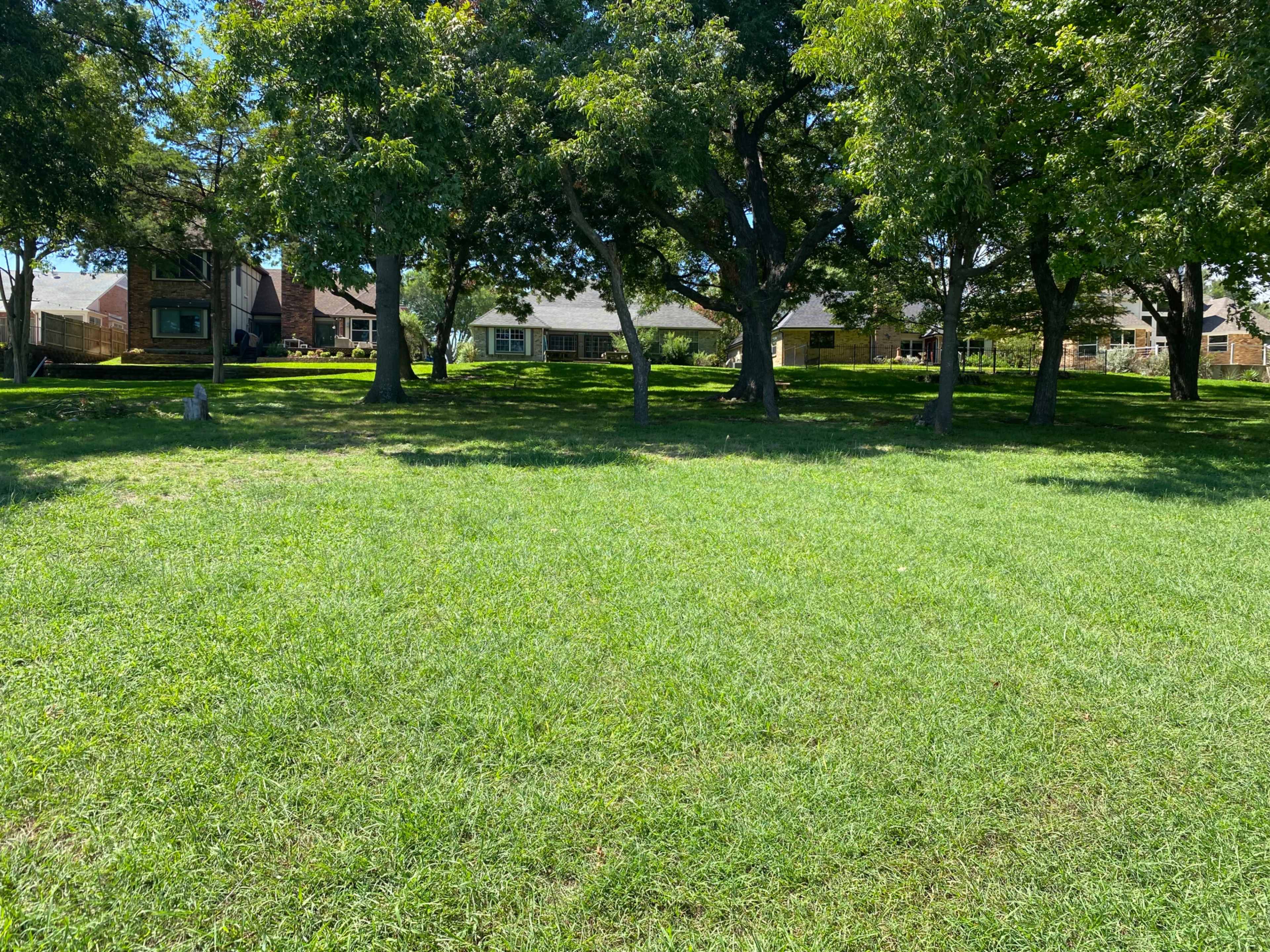 A grassy field bordered by several large trees, with residential homes visible in the background.