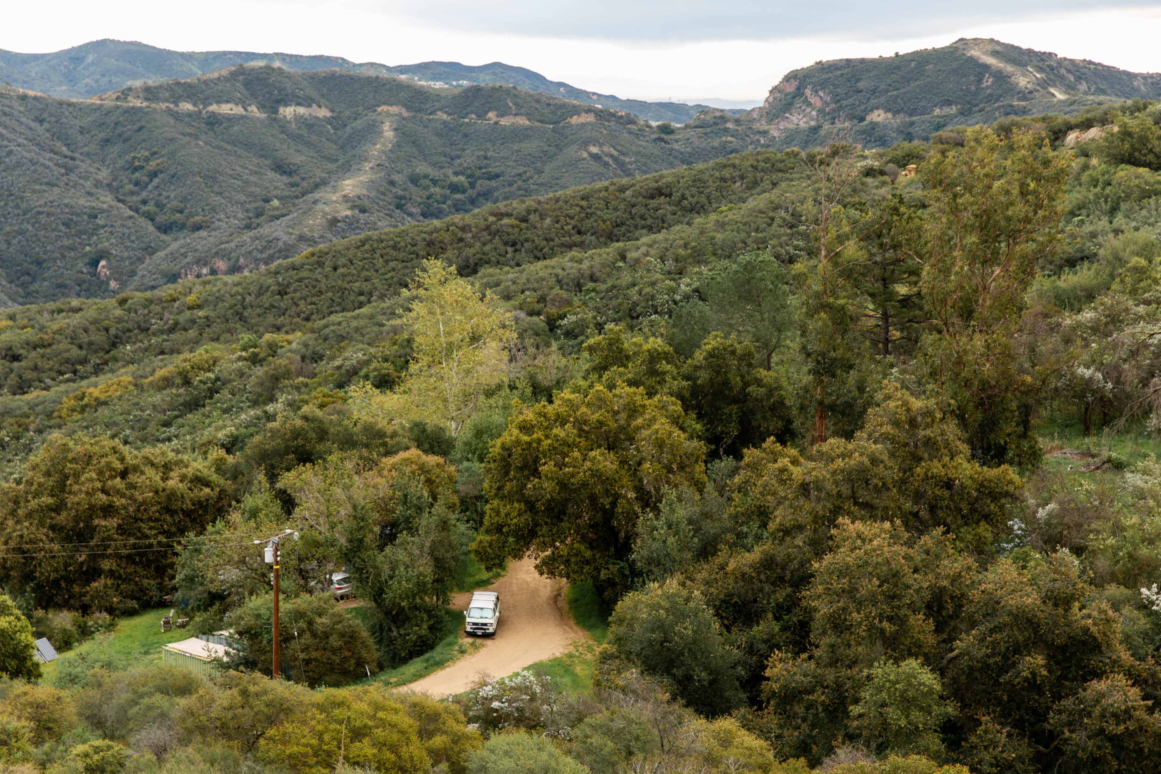 A winding dirt road leads through a dense forested area, with hills visible in the distance.