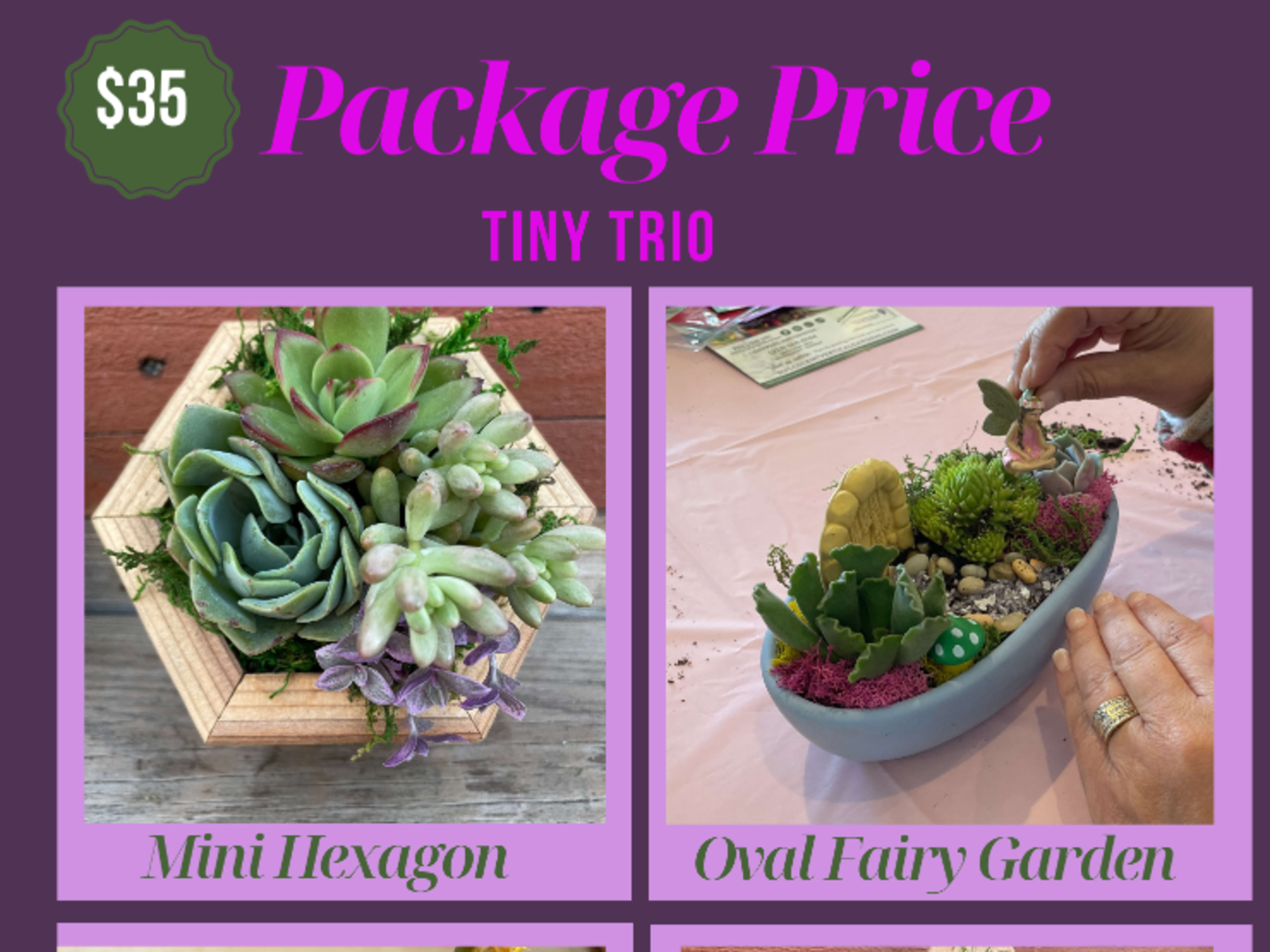 Tiny Trio Planting Package 