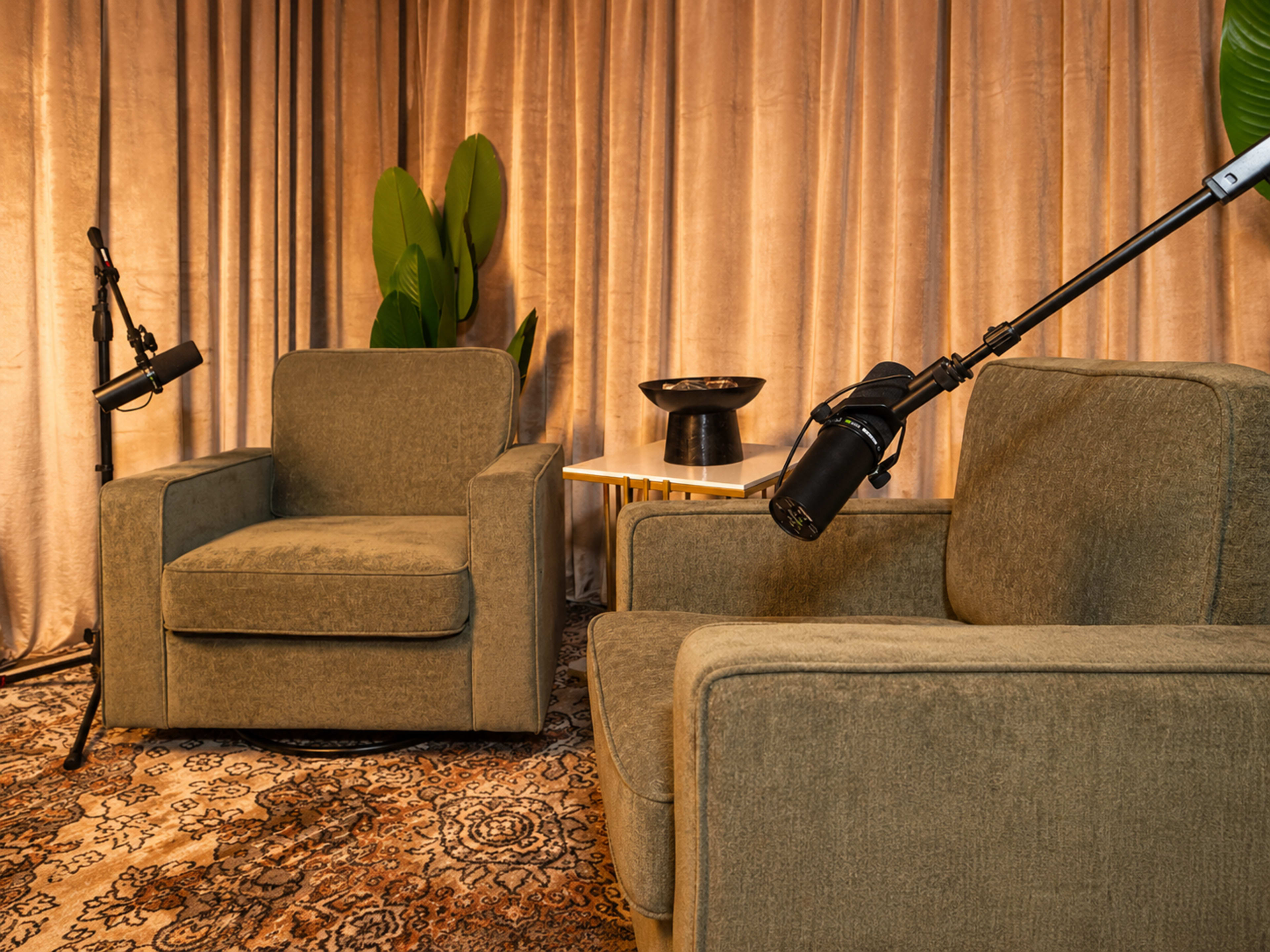 The image shows two upholstered chairs positioned opposite each other in a cozy setting, with microphones mounted nearby and a plant in the background.