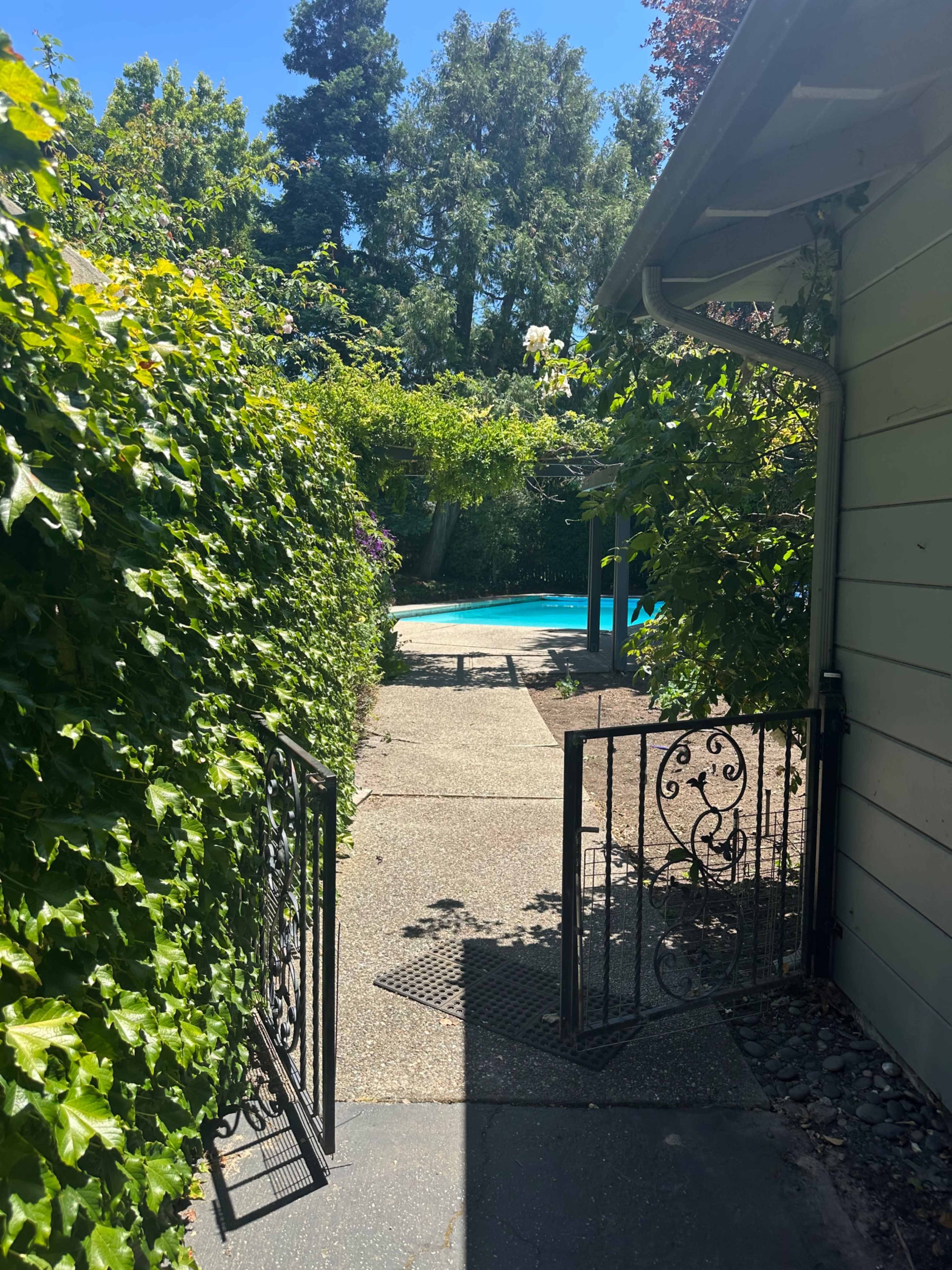 A pathway lined with greenery leads through a gate to a swimming pool in the backyard.