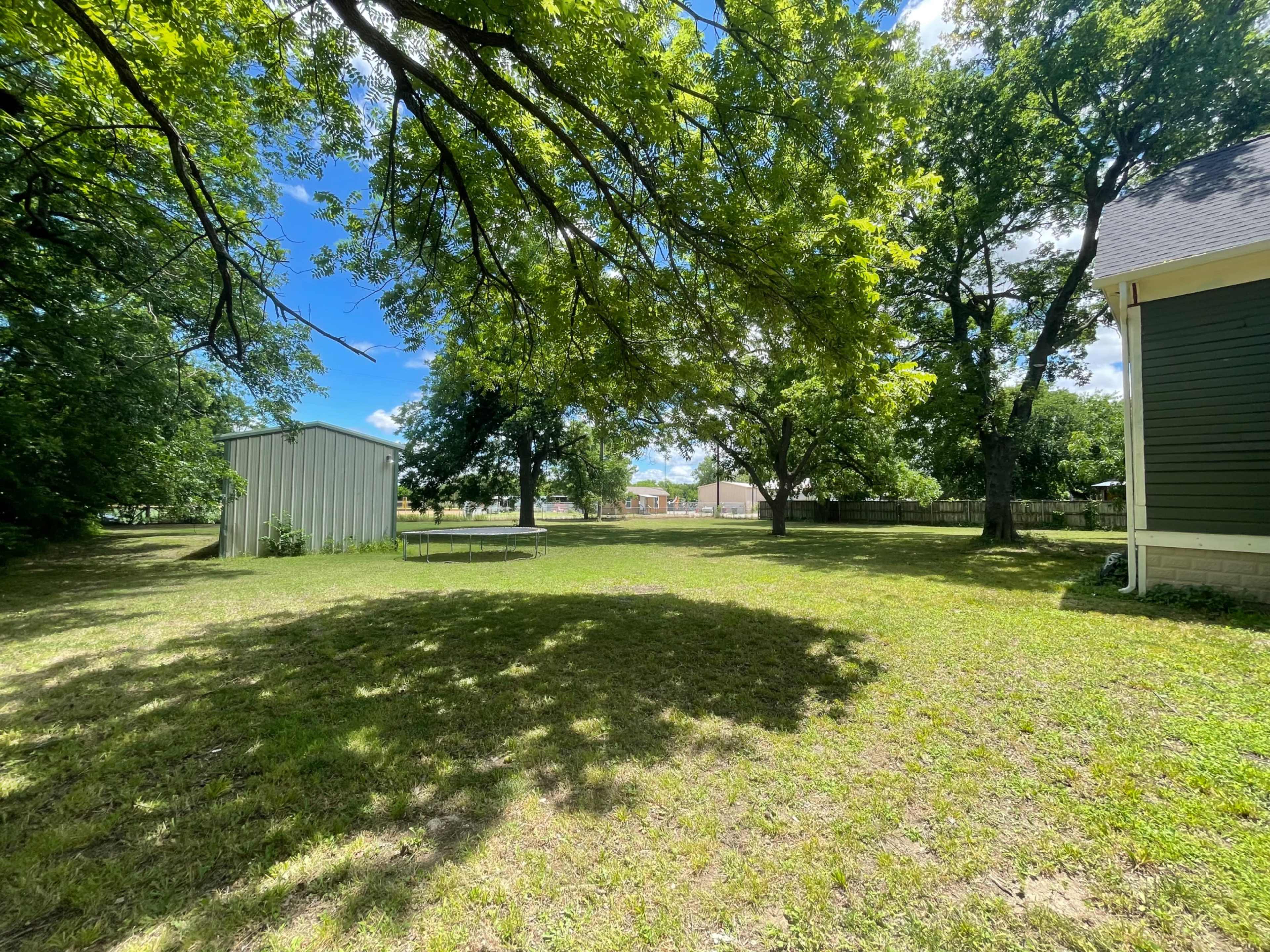 The image shows a grassy yard with trees casting shadows, a metal shed in the background, and a clear blue sky.