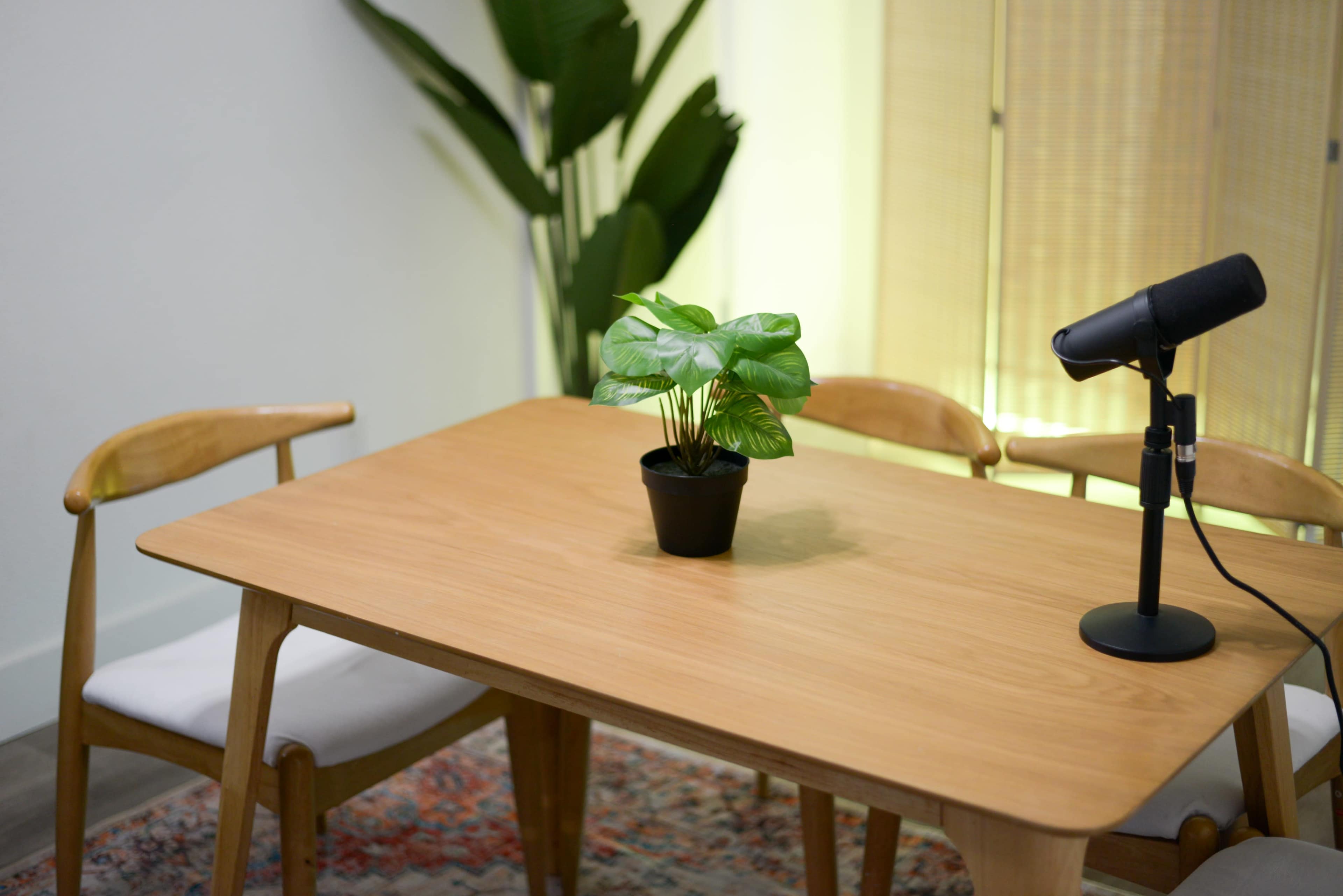A wooden table with two chairs and a microphone sits in front of a small potted plant, with a backdrop of a leafy indoor plant and natural light.