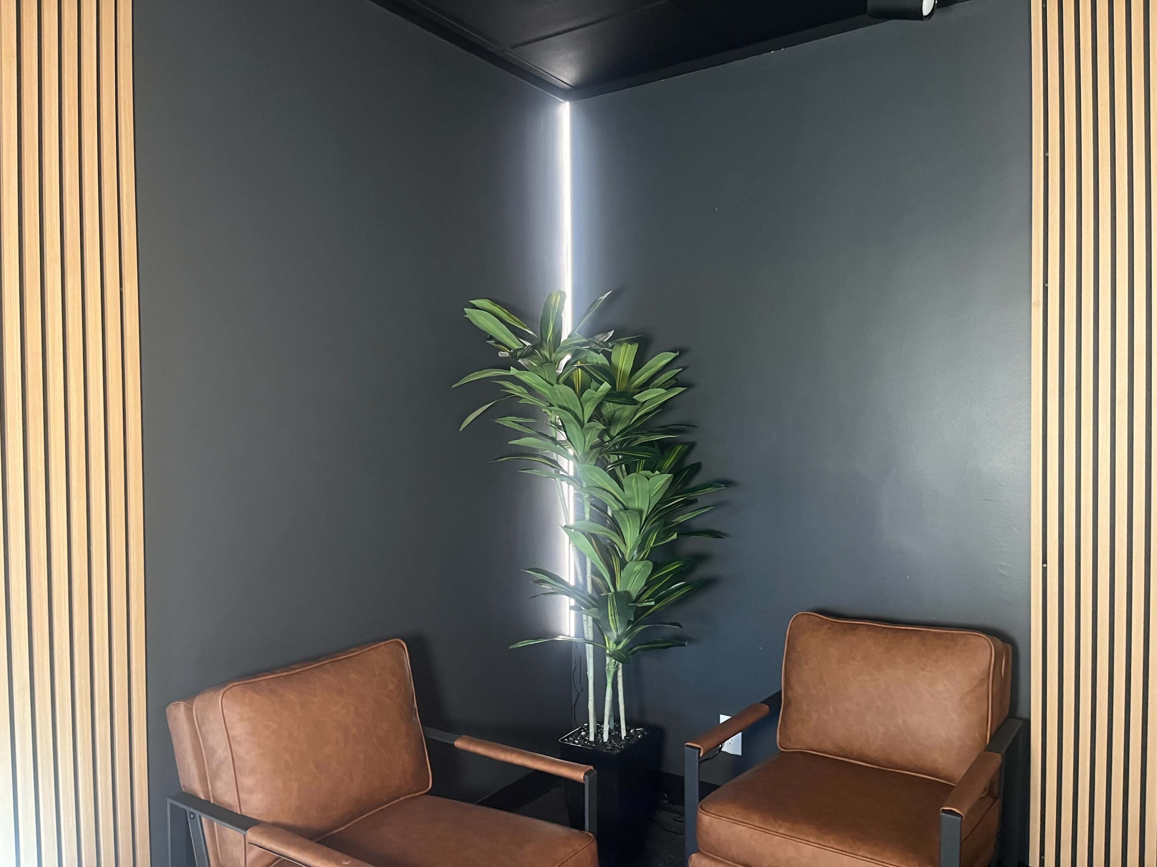 The image shows a cozy corner with two brown chairs facing a potted plant against a dark wall, illuminated by a vertical light strip.