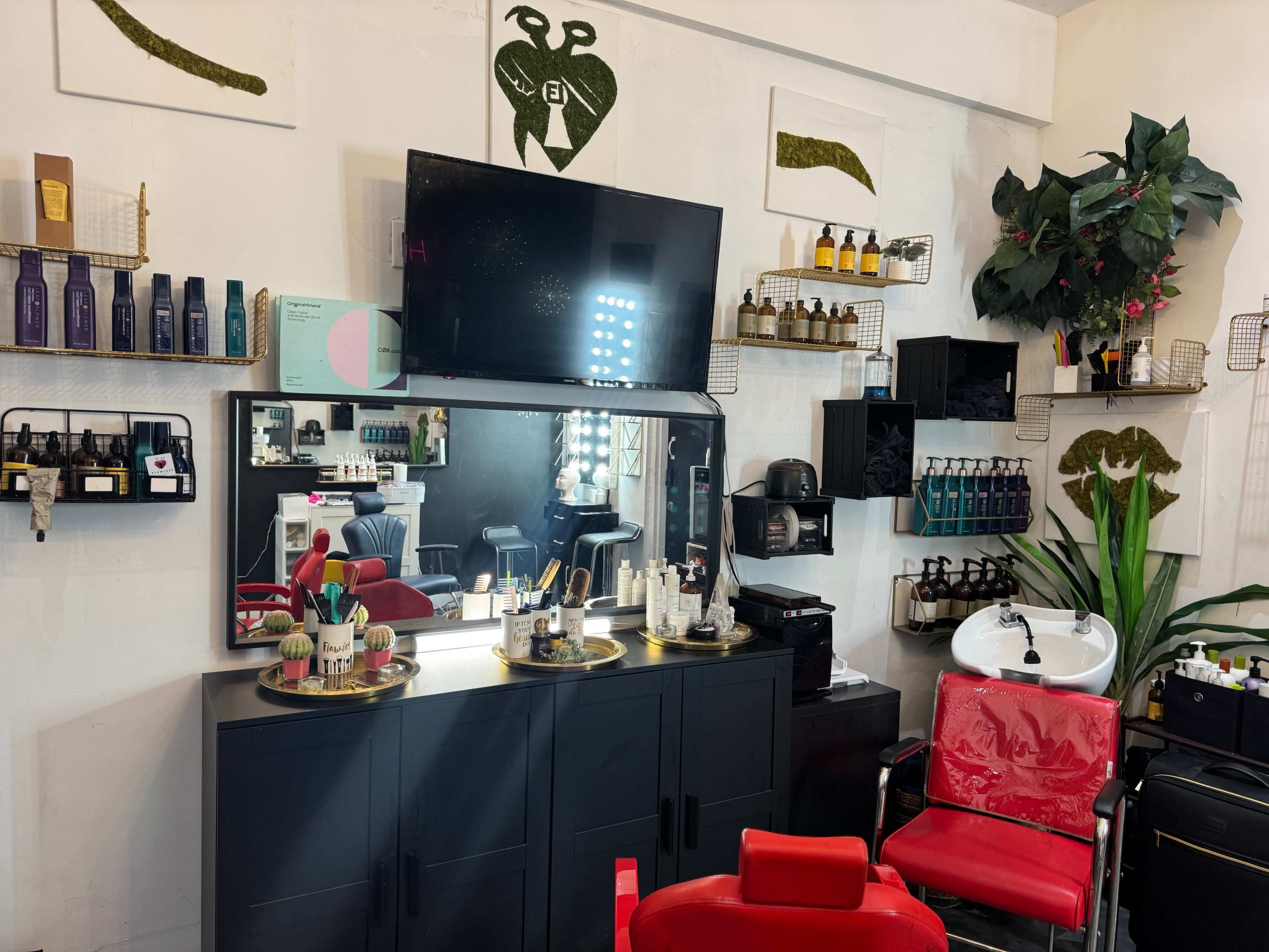 The image depicts a hair salon interior featuring a mirror, television, various hair care products on shelves, and red salon chairs.
