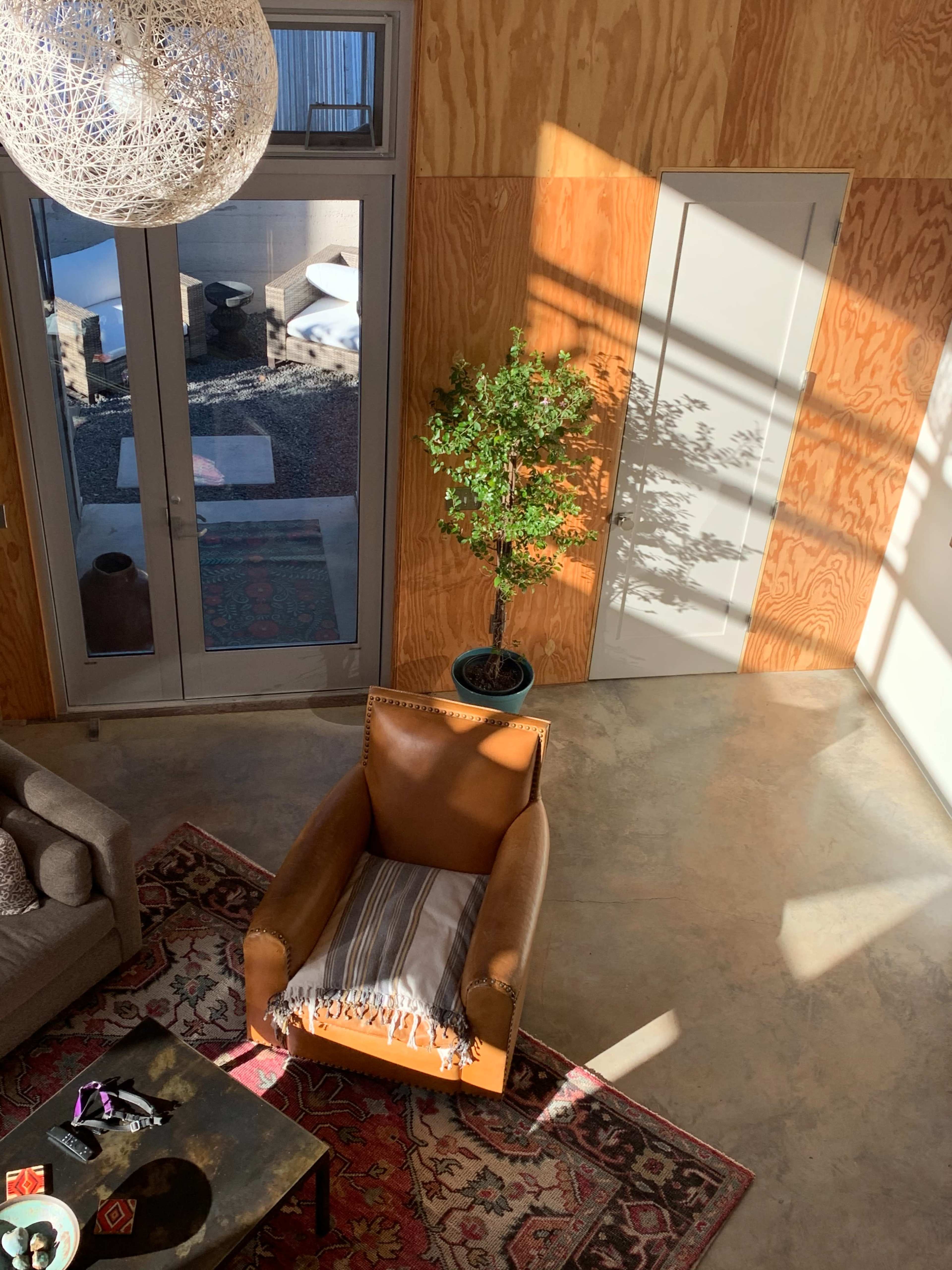 The image shows a cozy interior space with a leather armchair, a decorative rug, a potted plant, and large windows casting shadows on the wooden walls.