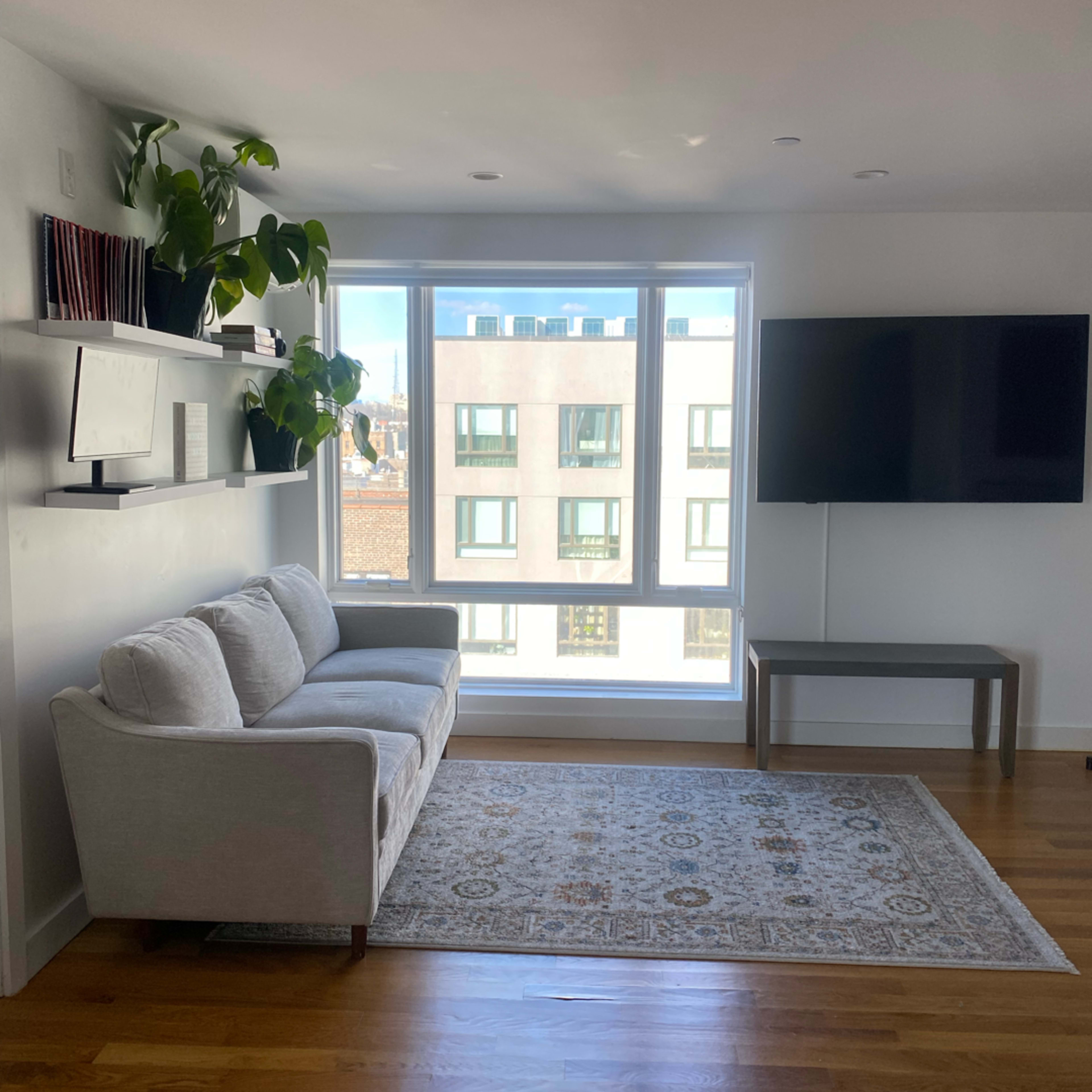modern new york city apartment Image in Little Haiti, Brooklyn, NY