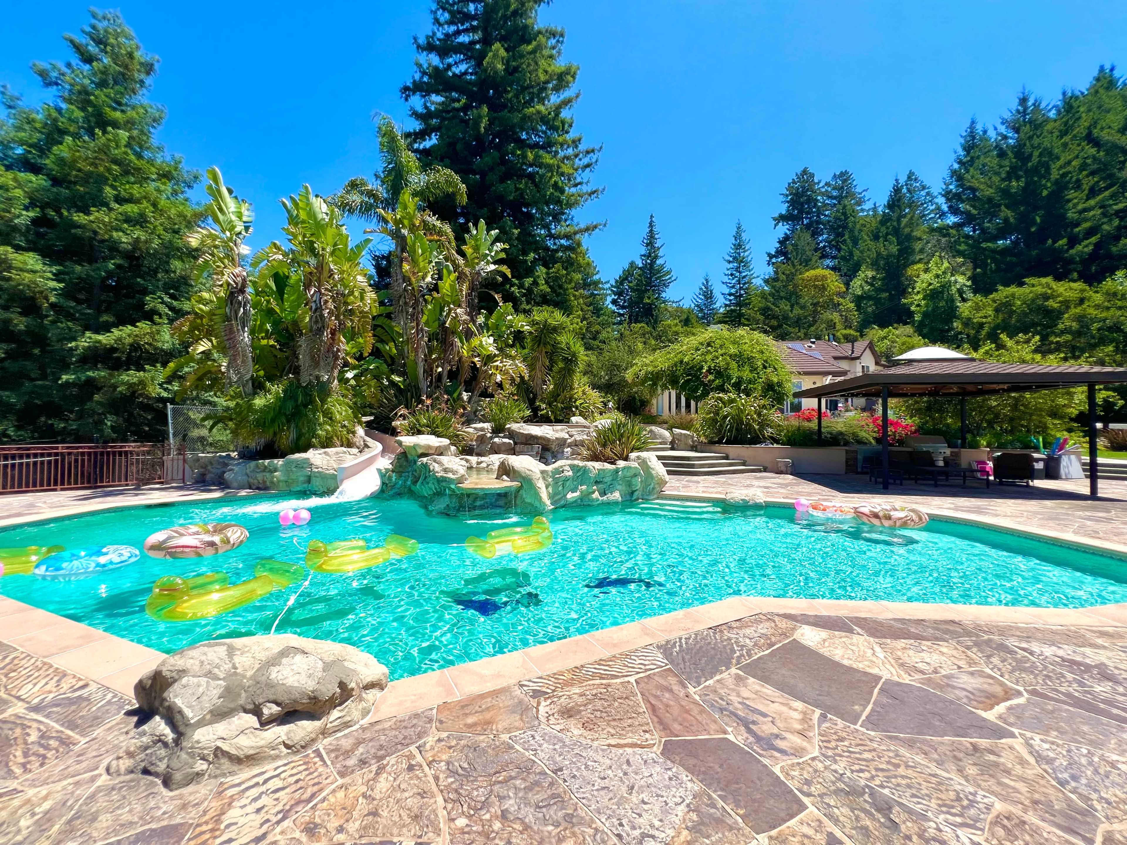 Tropical Paradise with Slide + View in the Santa Cruz Mountains Image in , Scotts Valley, CA