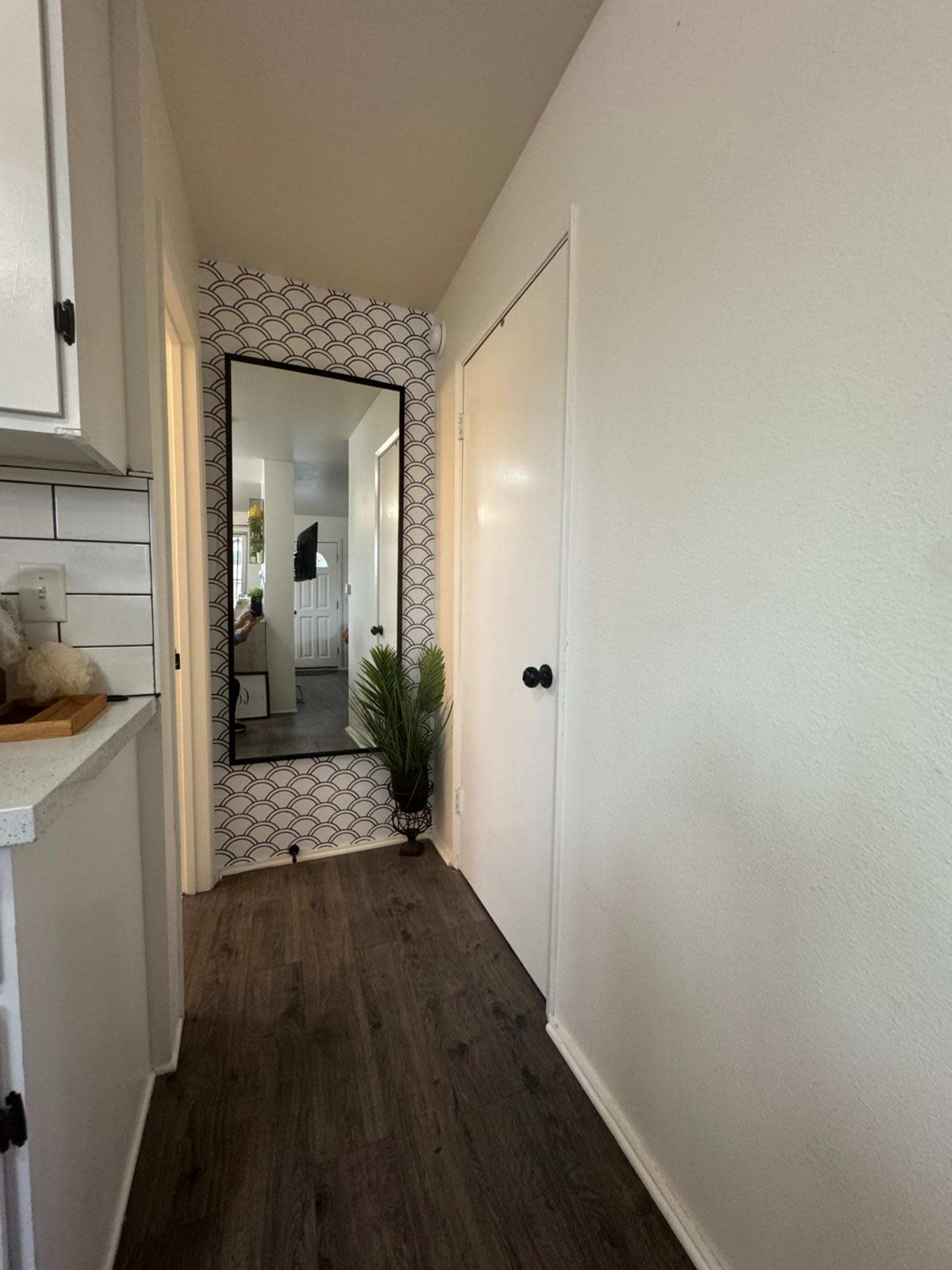 The image shows a narrow hallway featuring a mirrored wall, a door, and a potted plant beside the mirror.