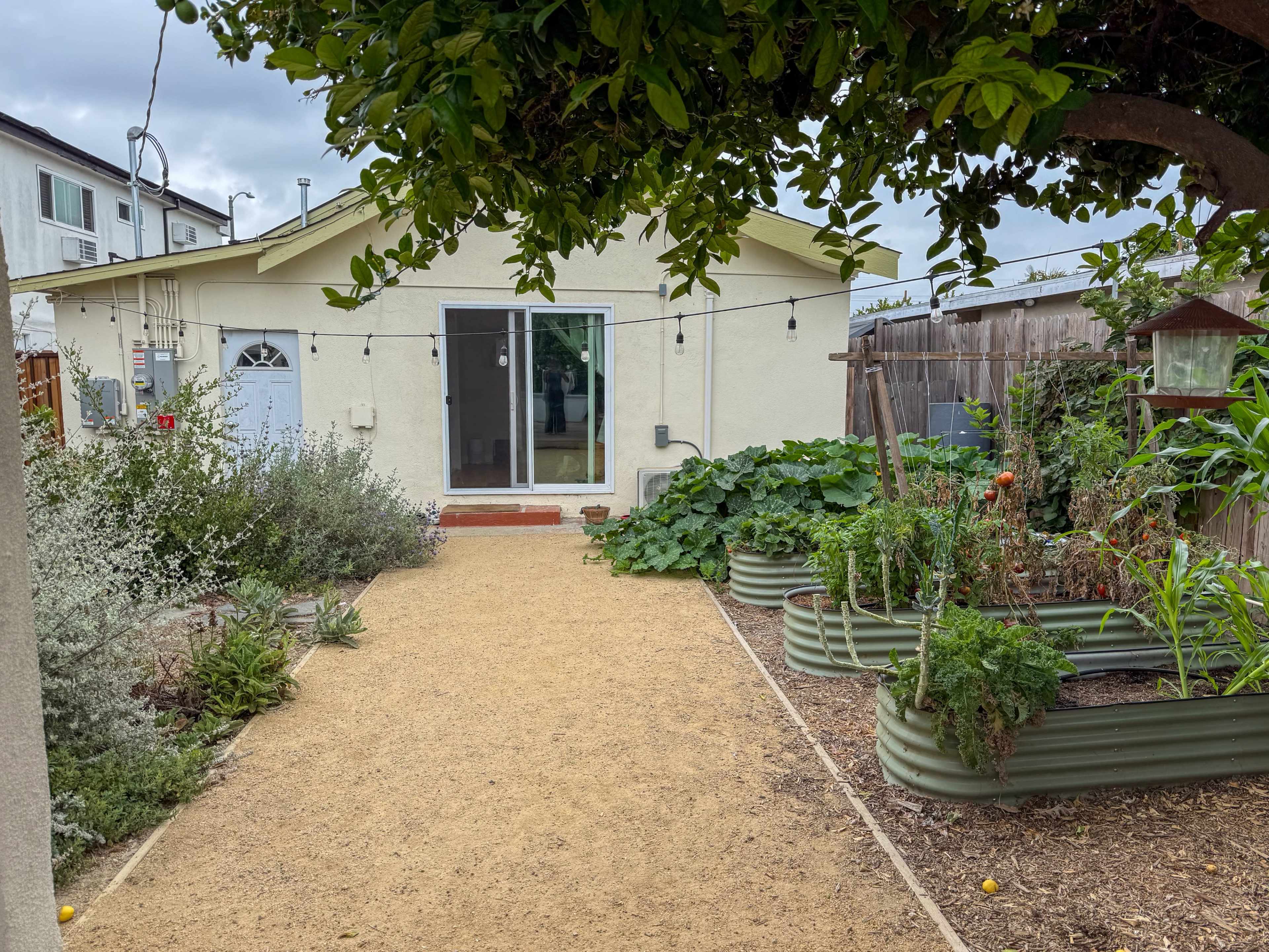 The image shows a backyard garden with raised planting beds, a pathway leading to a light-colored house, and a variety of plants including vegetables and flowers.