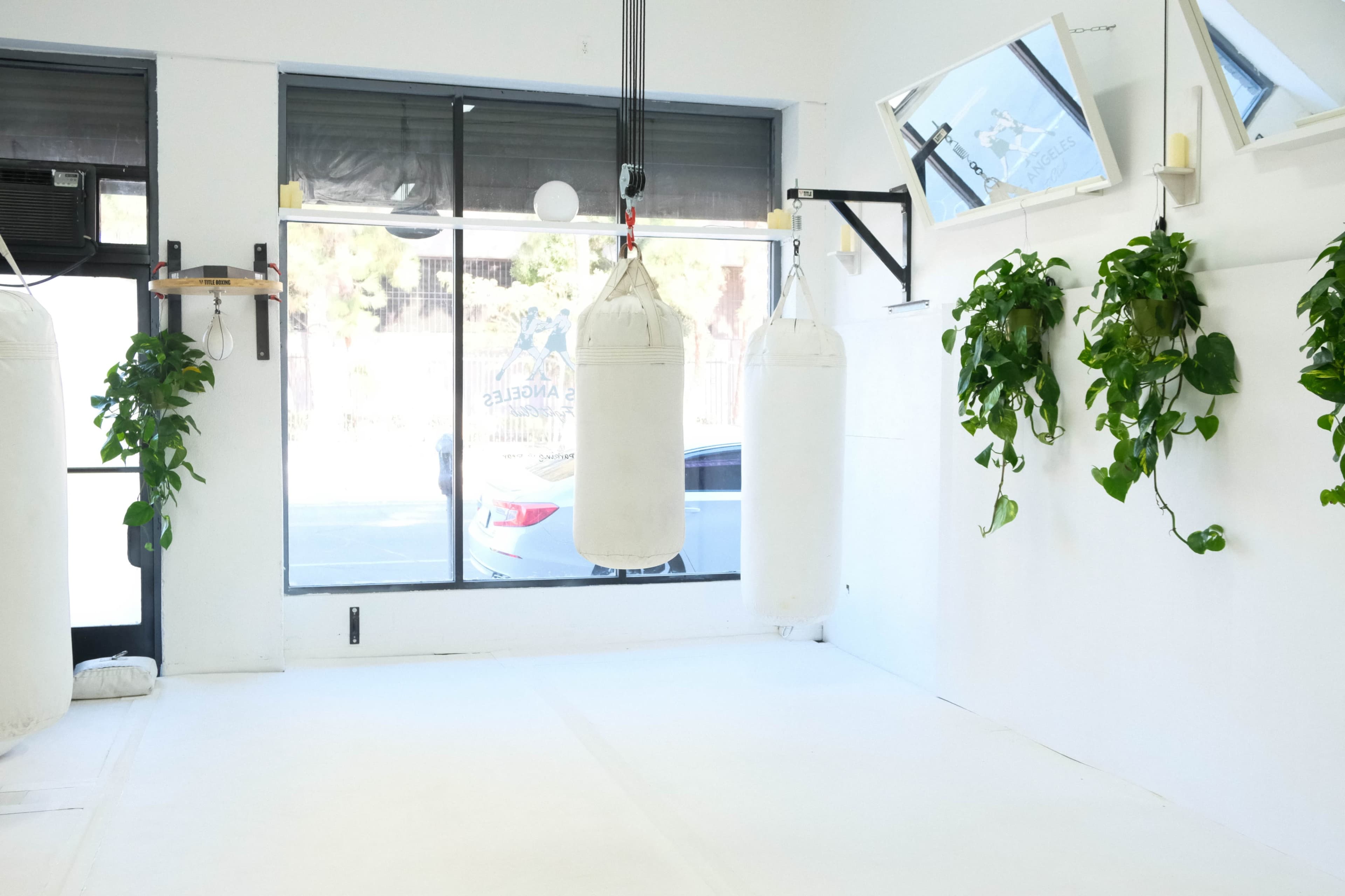 Aesthetic Gym for MMA, kickboxing, boxing, Crossfit, Jiu Jitsu and wrestling Image in Central LA, Los Angeles, CA