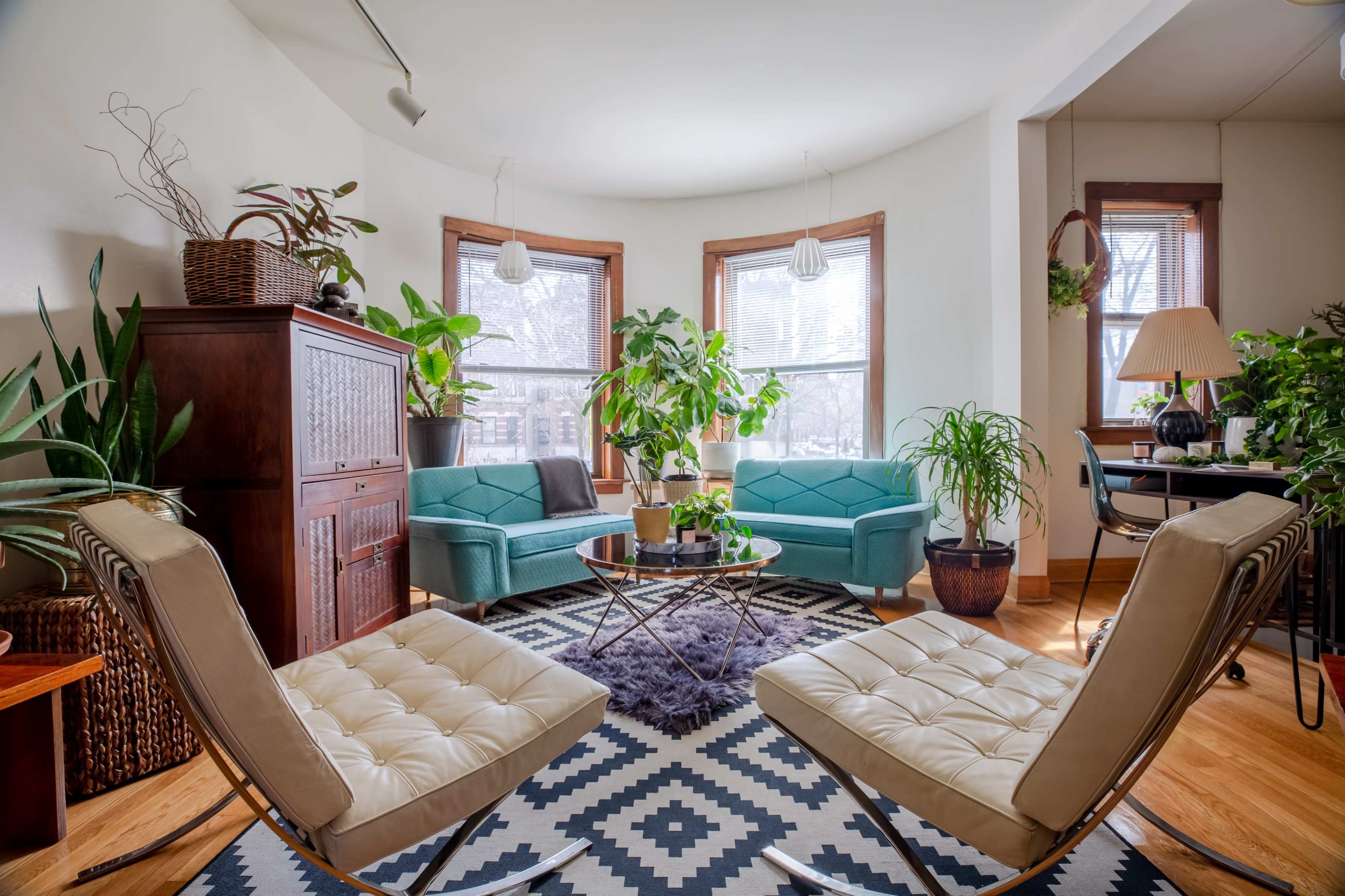 The image shows a cozy living room furnished with teal sofas, white modern chairs, and various indoor plants arranged around a central coffee table on a patterned rug.