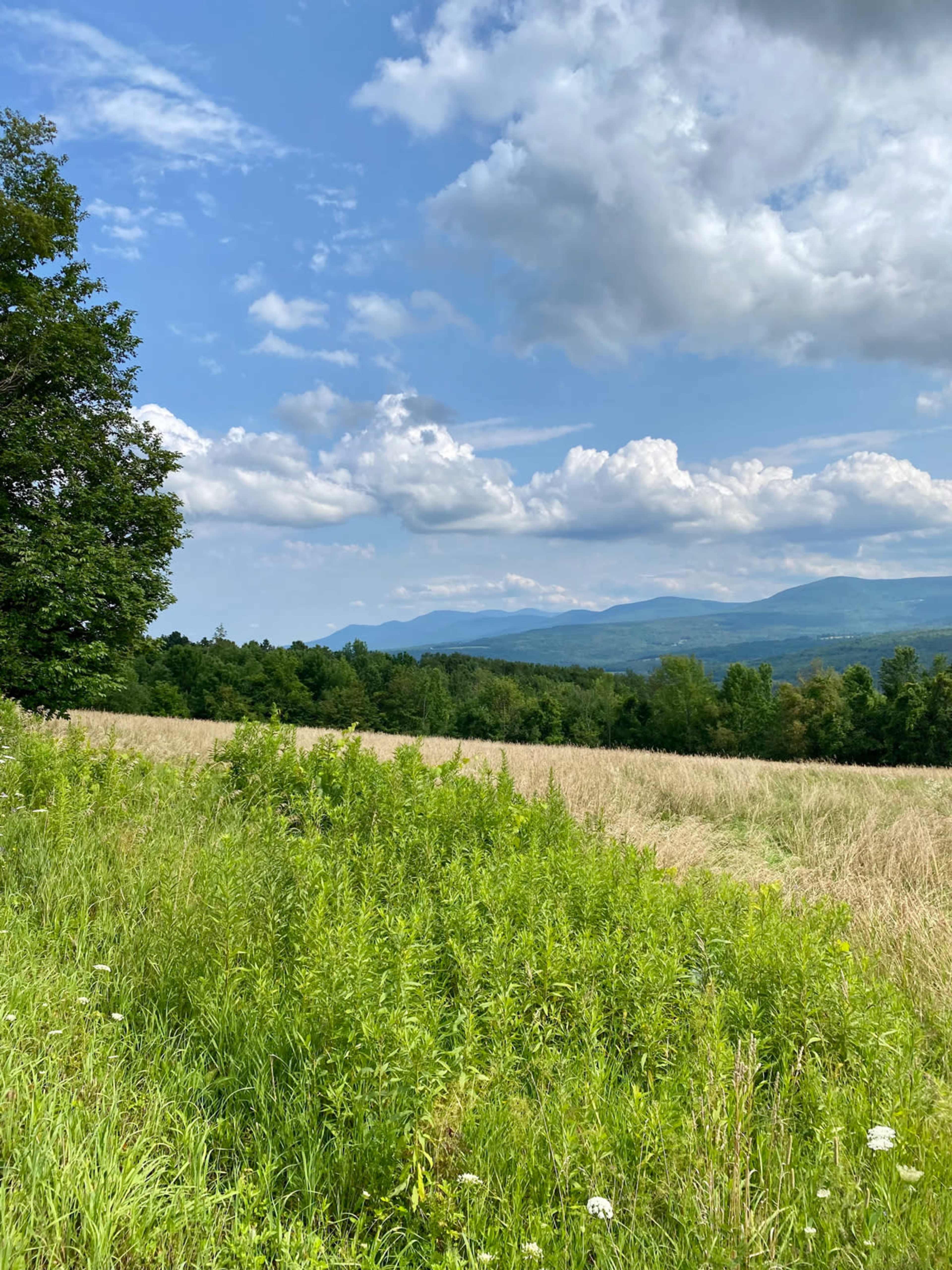 A green field stretches towards distant mountains under a partly cloudy sky.
