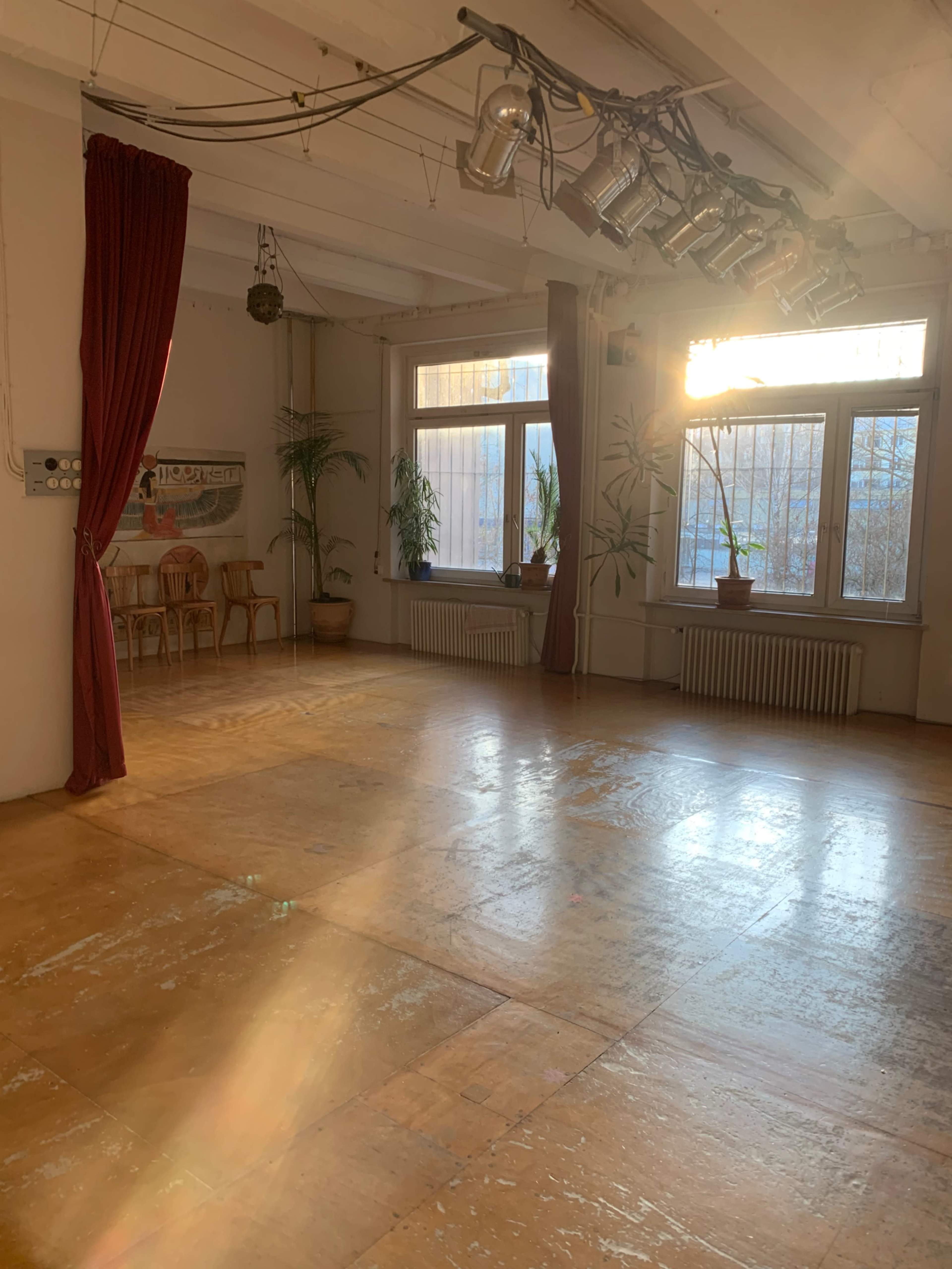 An empty room with wooden flooring, large windows, and several potted plants, illuminated by sunlight.