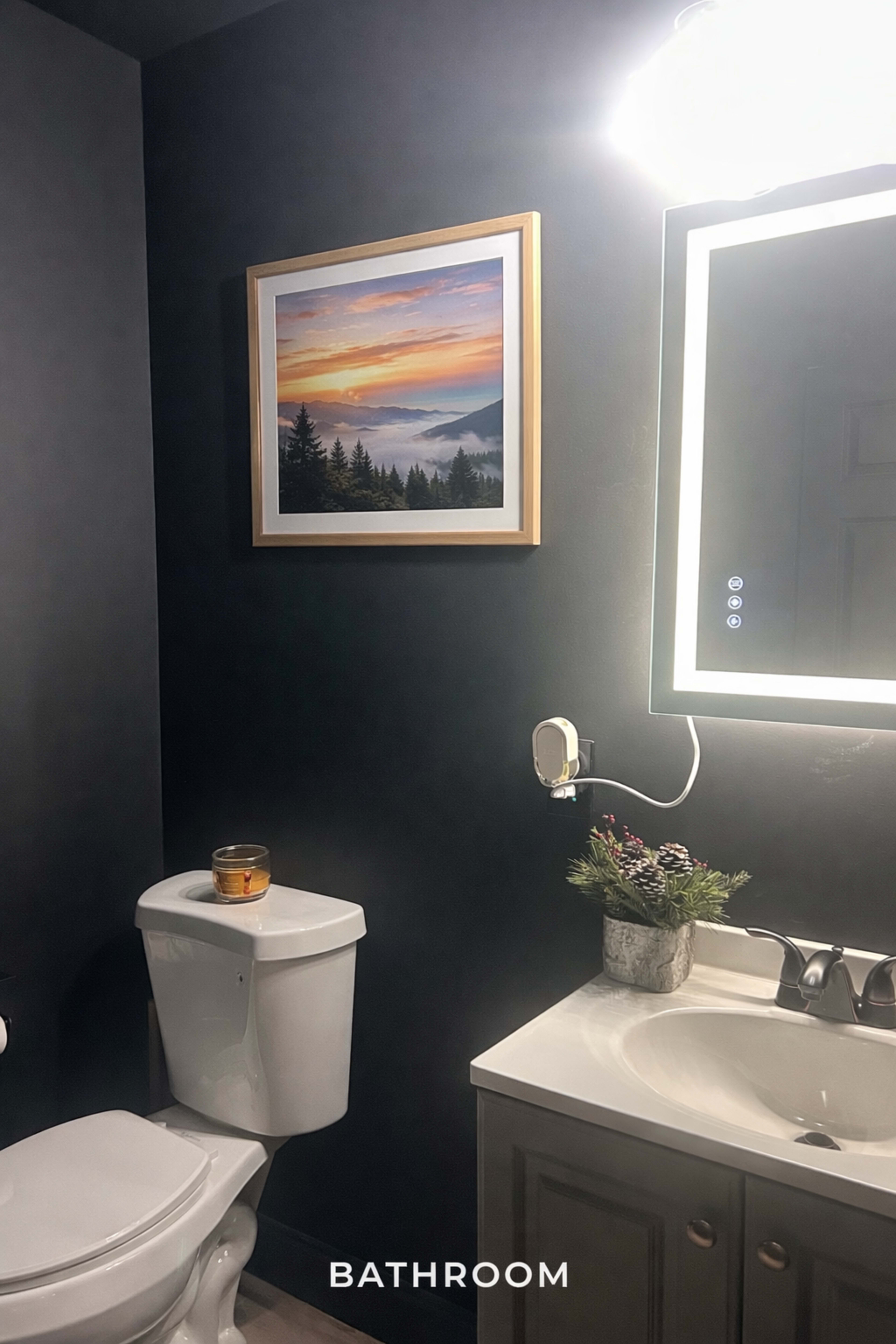 A dark-painted bathroom features a framed landscape painting on the wall, a mirror above the sink, and a white toilet beside a candle and a small flower arrangement.