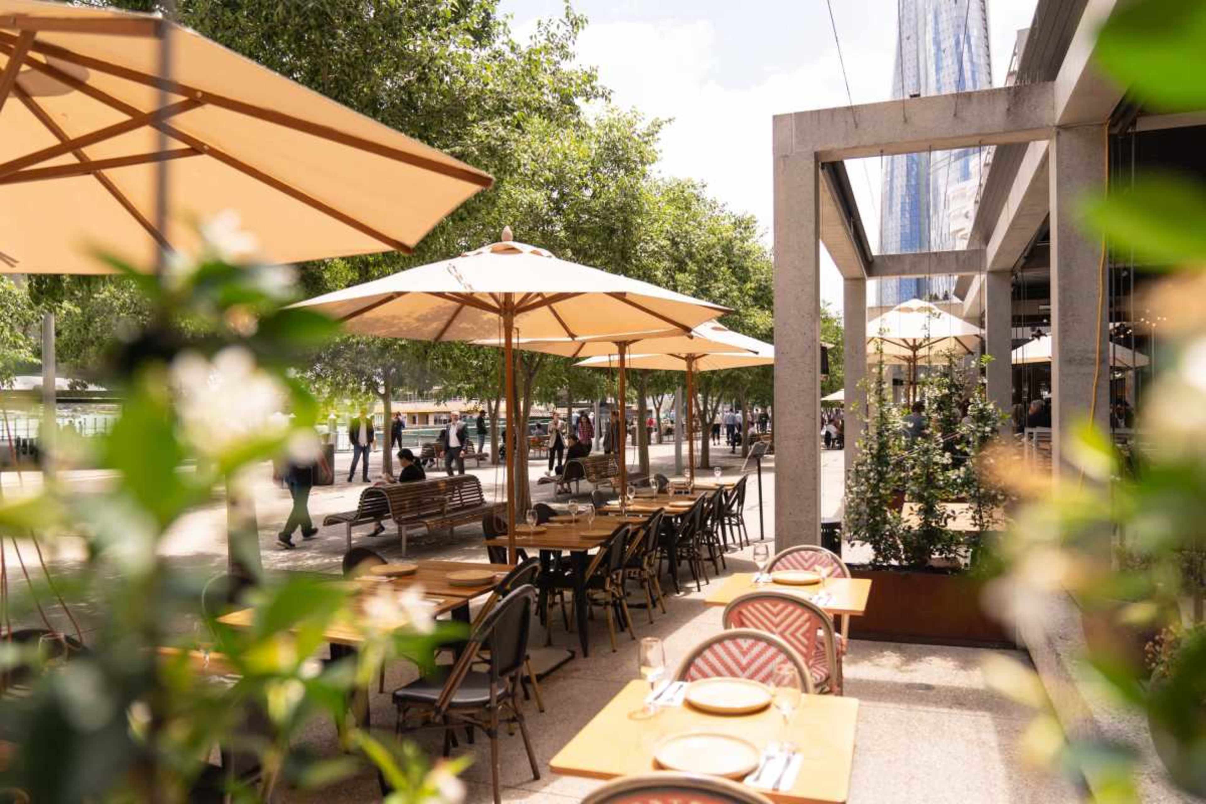 A lively outdoor café with umbrellas on a tree-lined street.