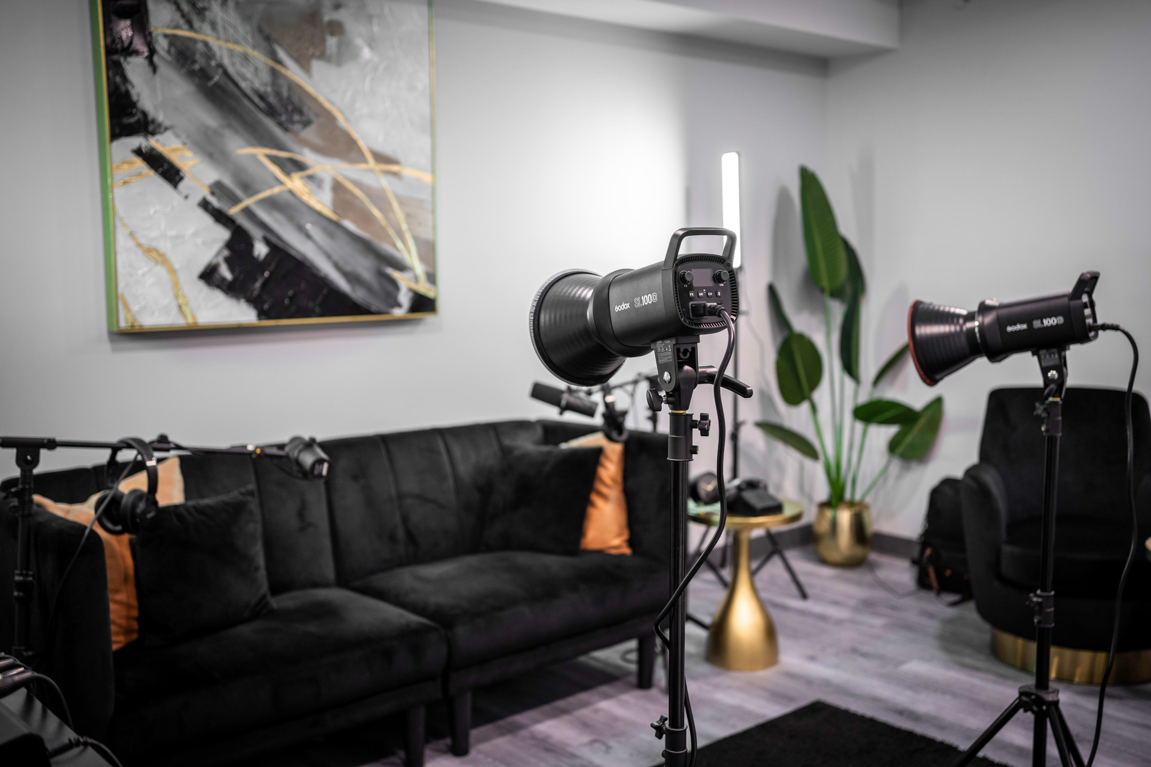 A modern interior setup with a black couch, decorative plants, and multiple lighting equipment arranged for a photoshoot.