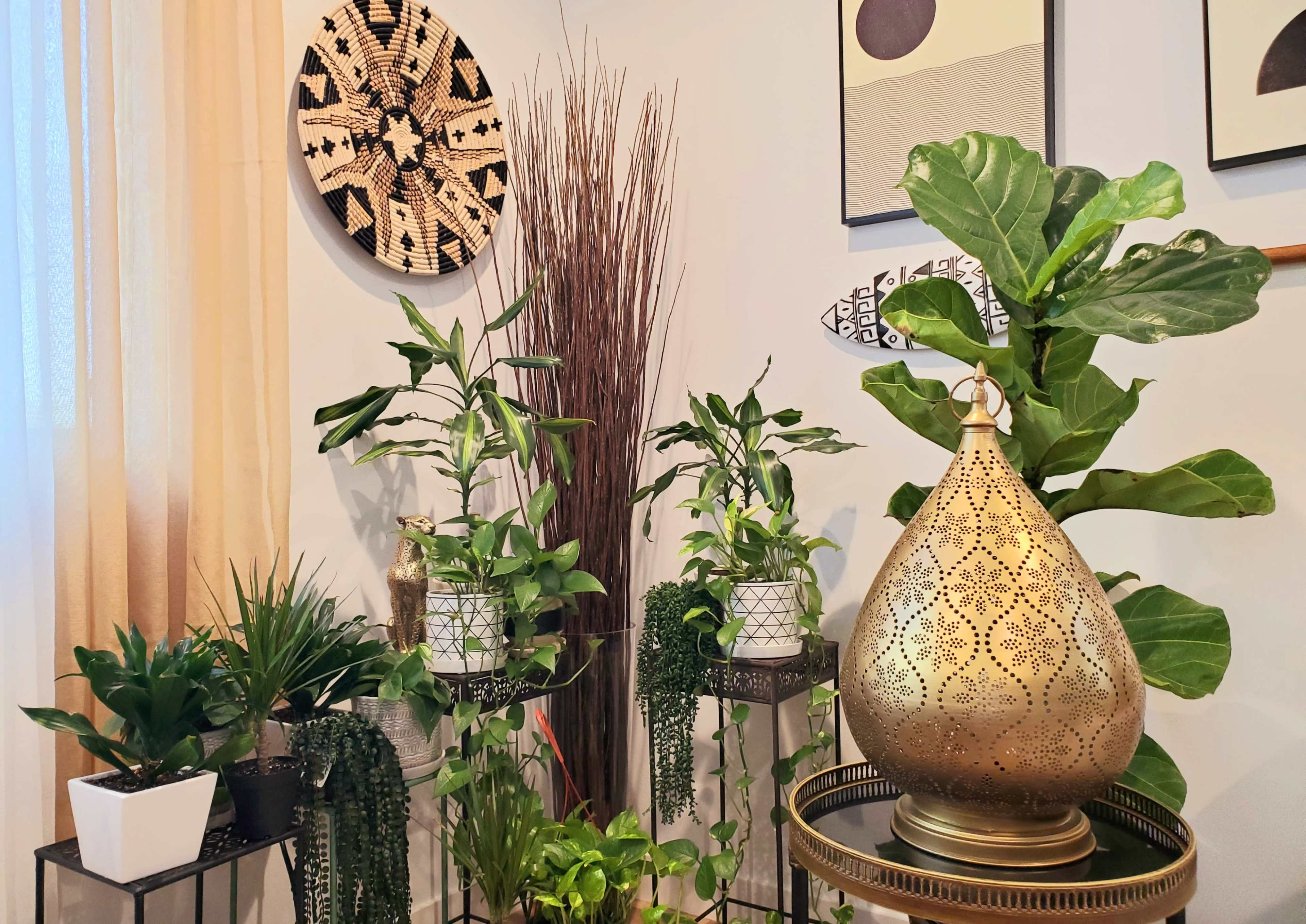 The image features a decorative interior corner with various plants, a large metallic lantern, and wall art in muted colors.