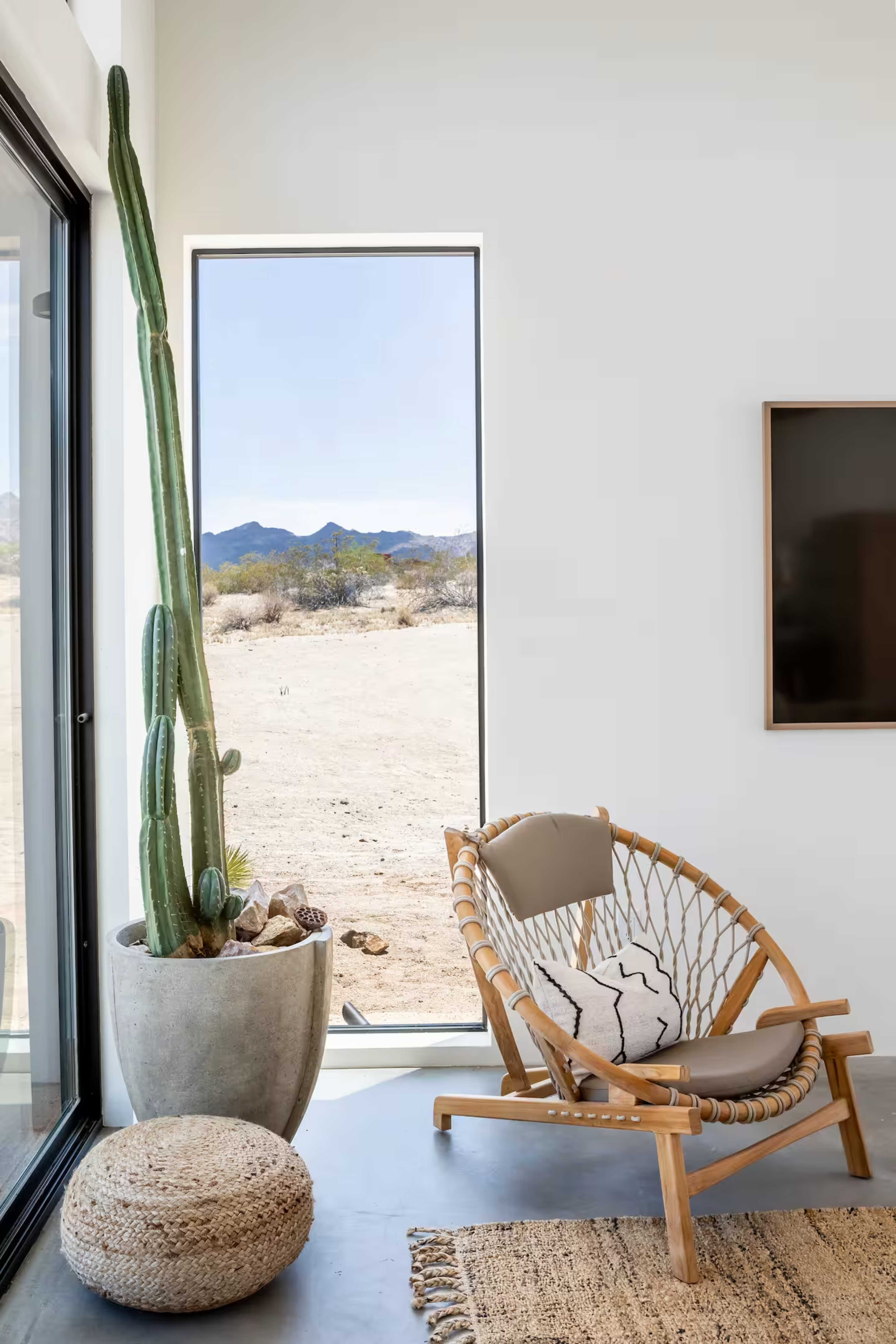 A modern indoor seating area features a woven chair beside a tall cactus and a natural stone planter, with a view of a desert landscape through a large window.