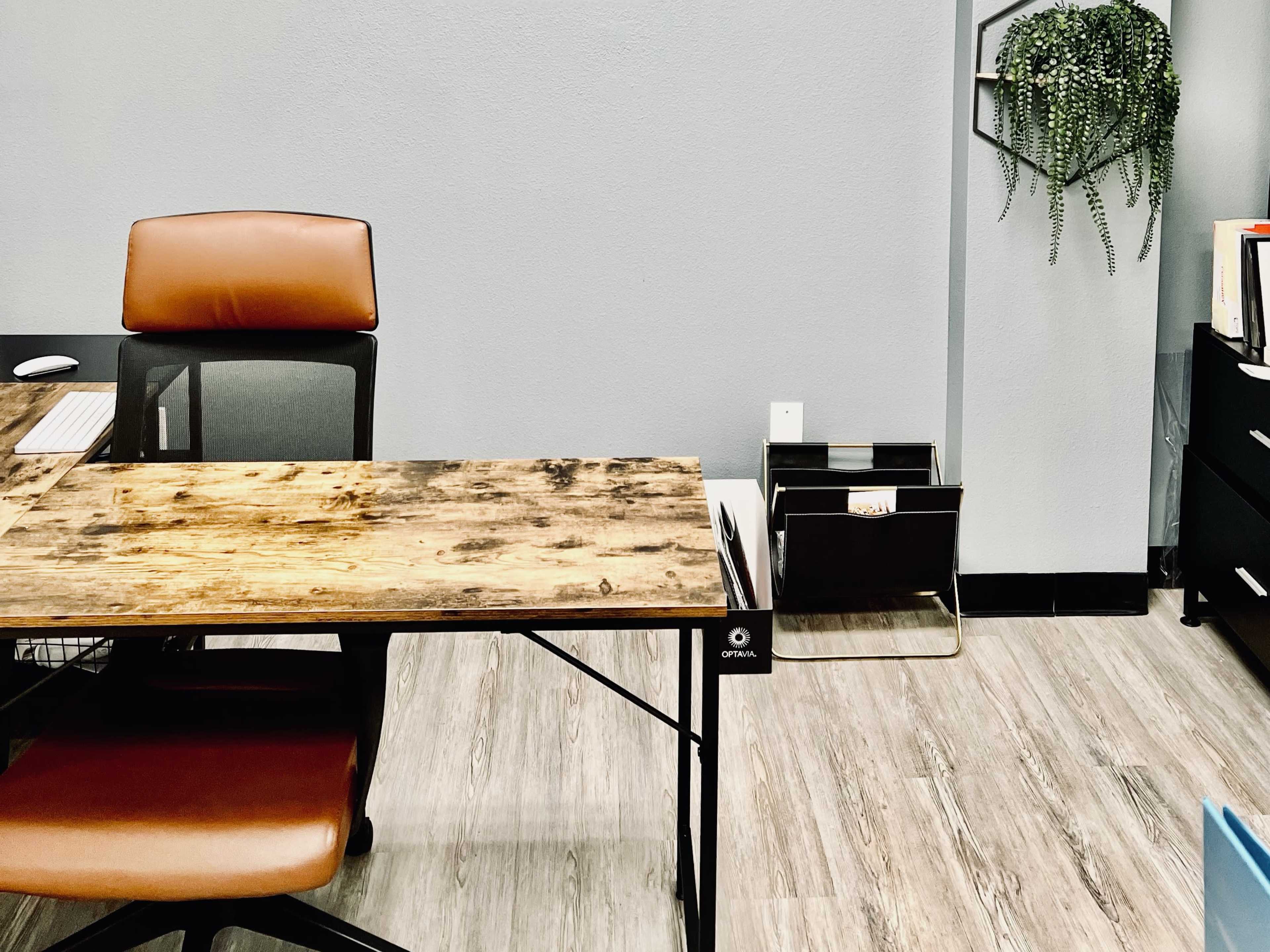A wooden desk with a black chair and a plant hanging on the wall is set in a modern office space.