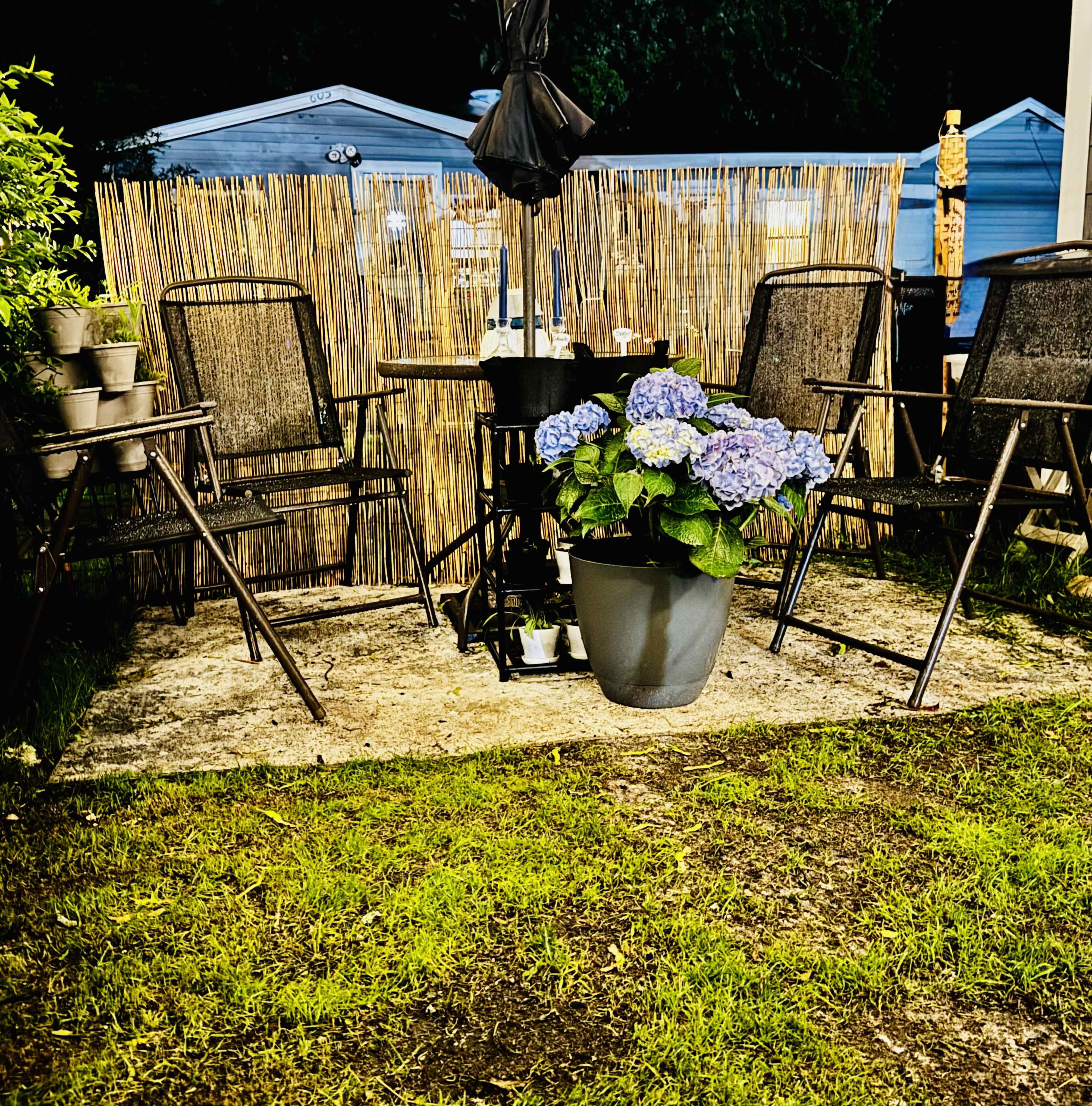 A small outdoor seating area features several folding chairs arranged around a table, with a large pot of blue hydrangeas at the center.