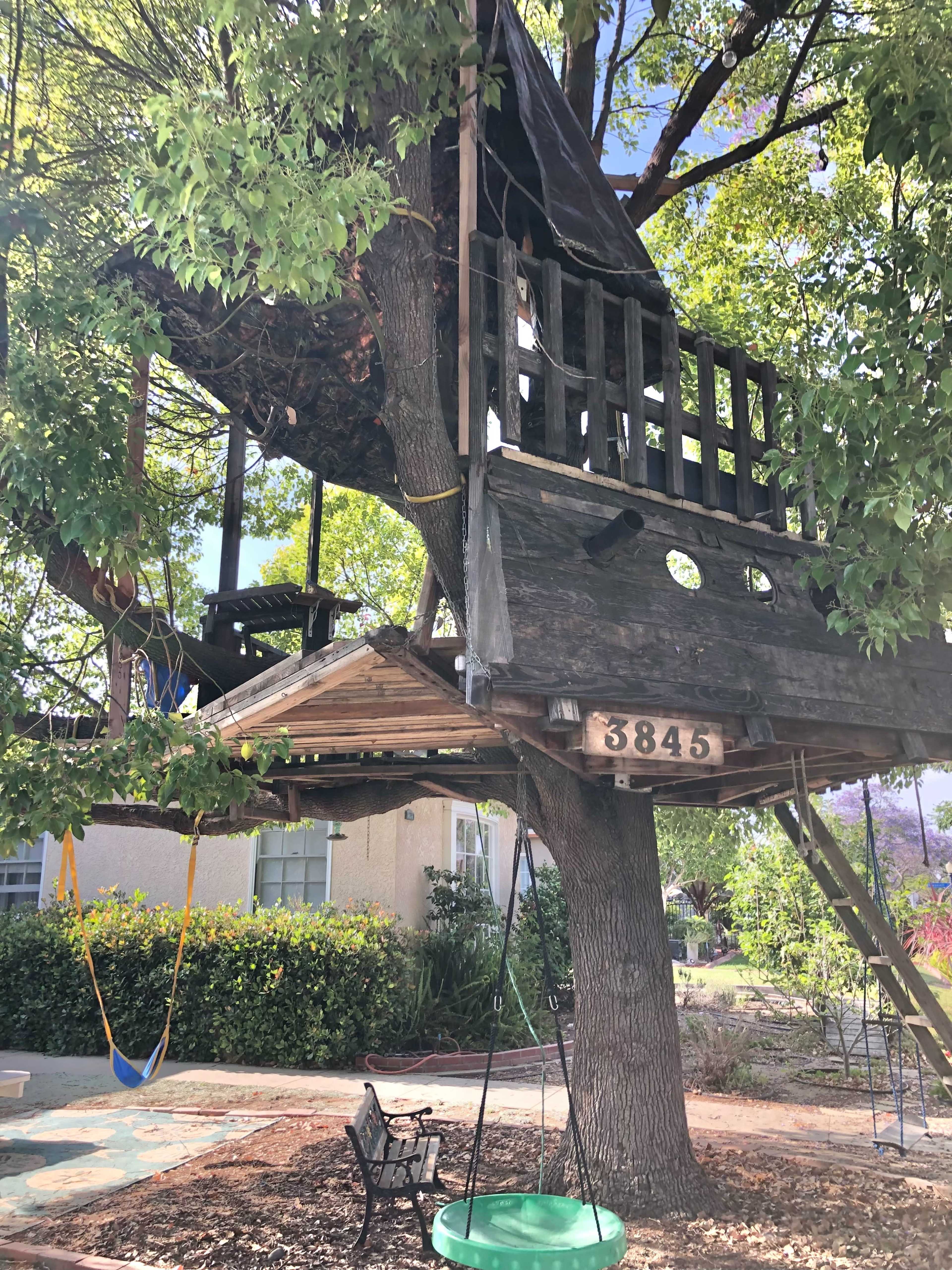 A treehouse is built among the branches of a tree, featuring a wooden platform, a slide, and a swing nearby.