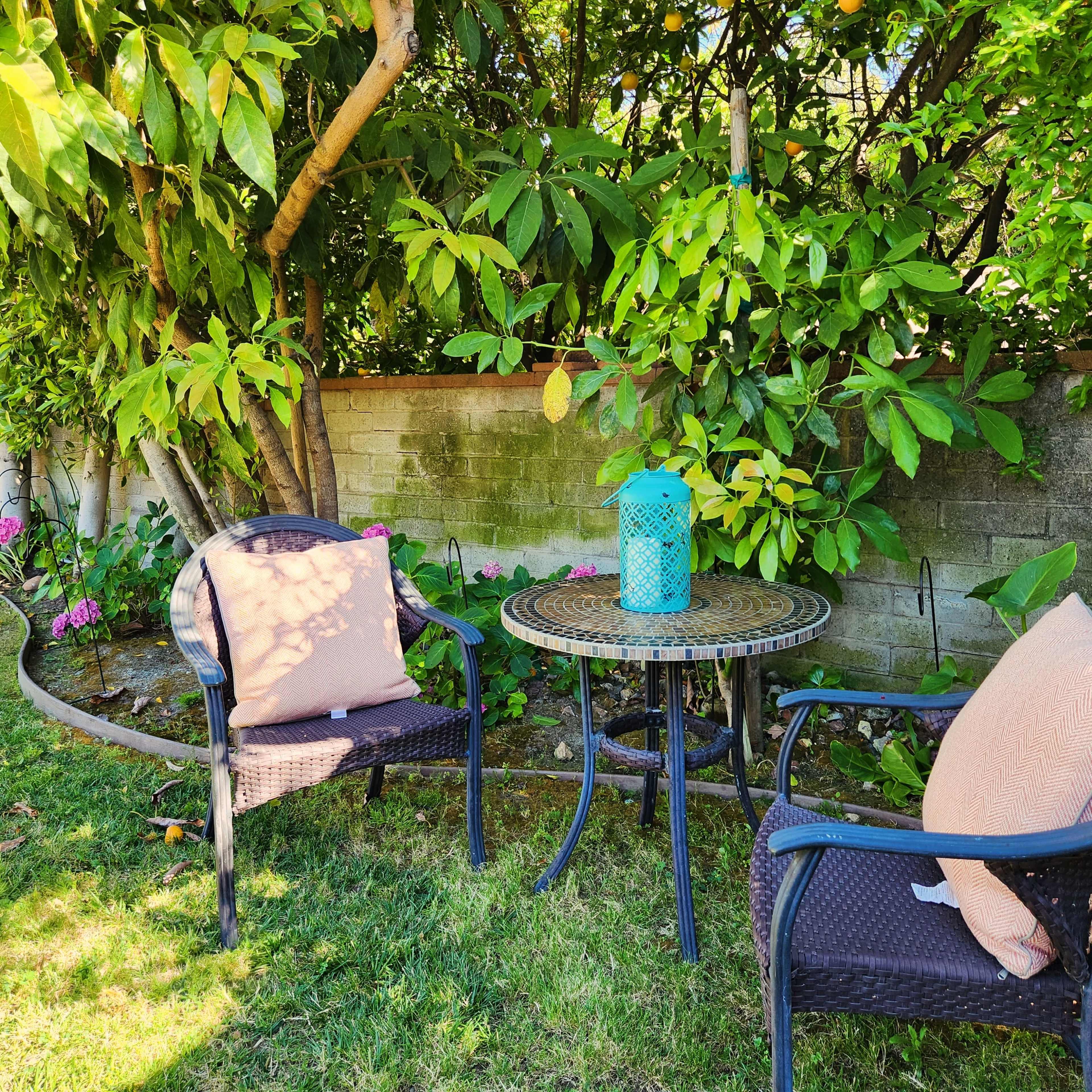 A small outdoor seating area features two chairs and a round table, surrounded by lush greenery and a wall.