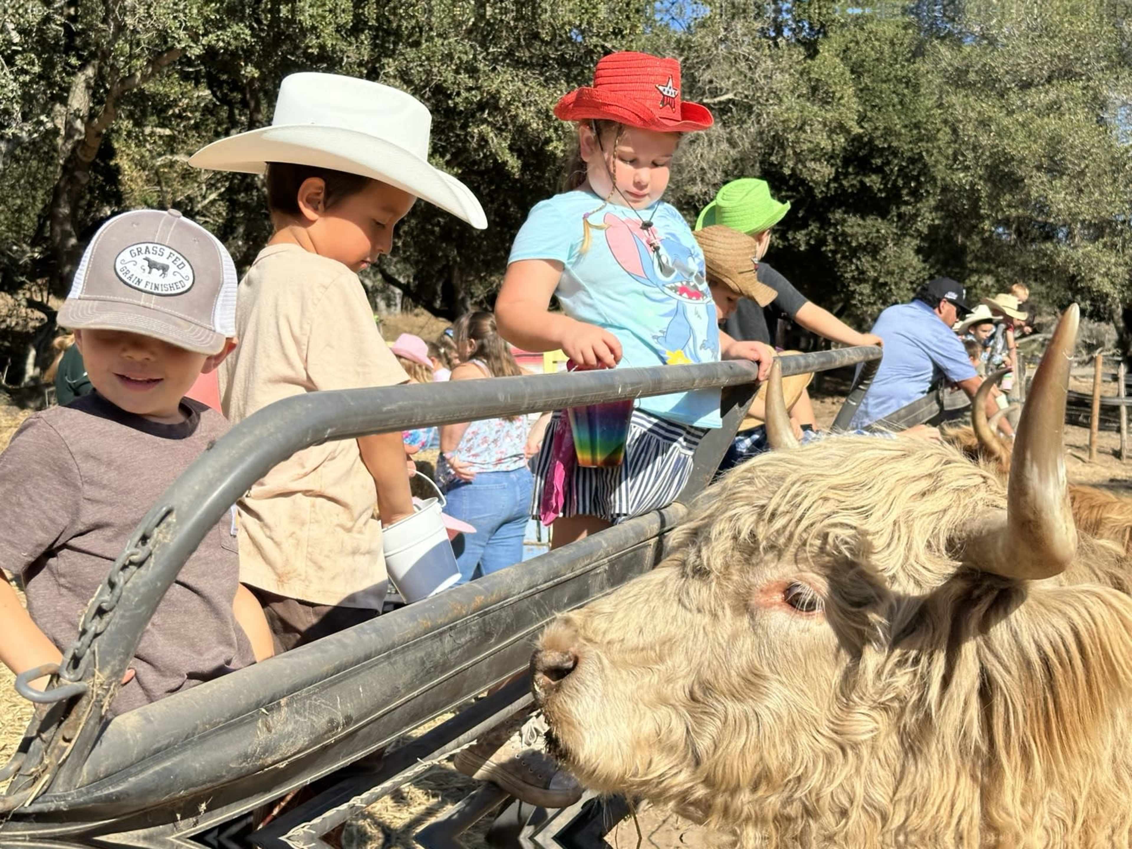 Private Ranch Picnic Space with Farm Animals Image in Prunedale, Salinas, CA