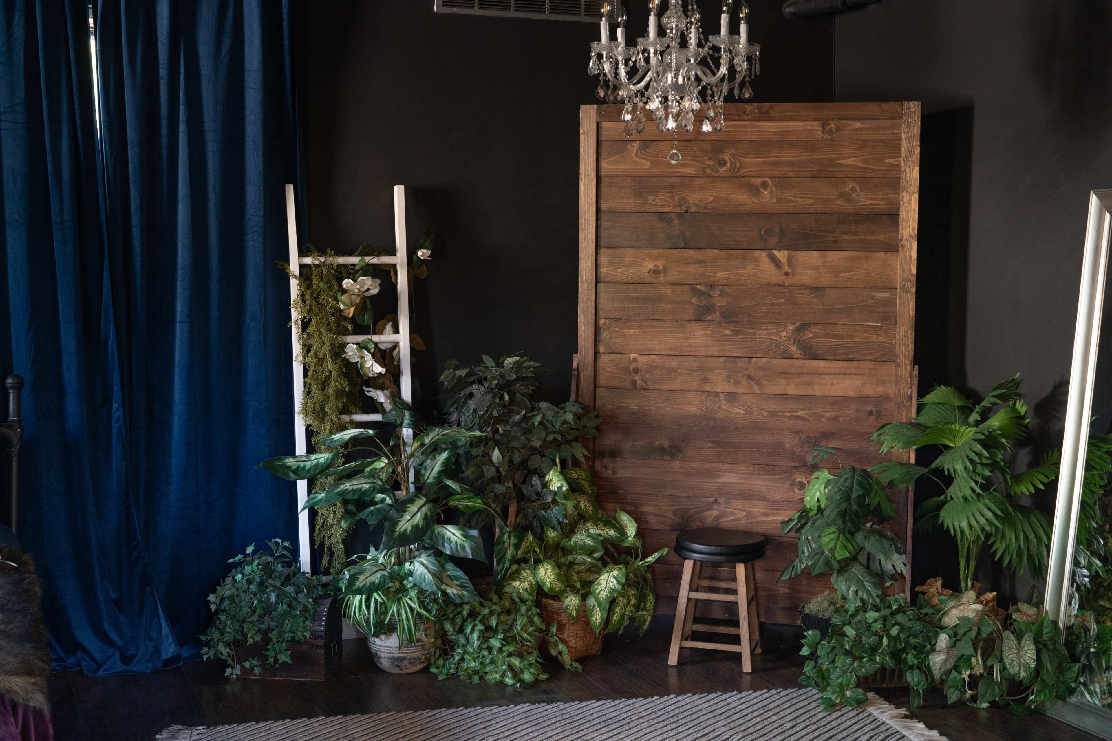 The image features a dark room with a wooden backdrop, a stool, a ladder with greenery, and various potted plants, illuminated by a chandelier.