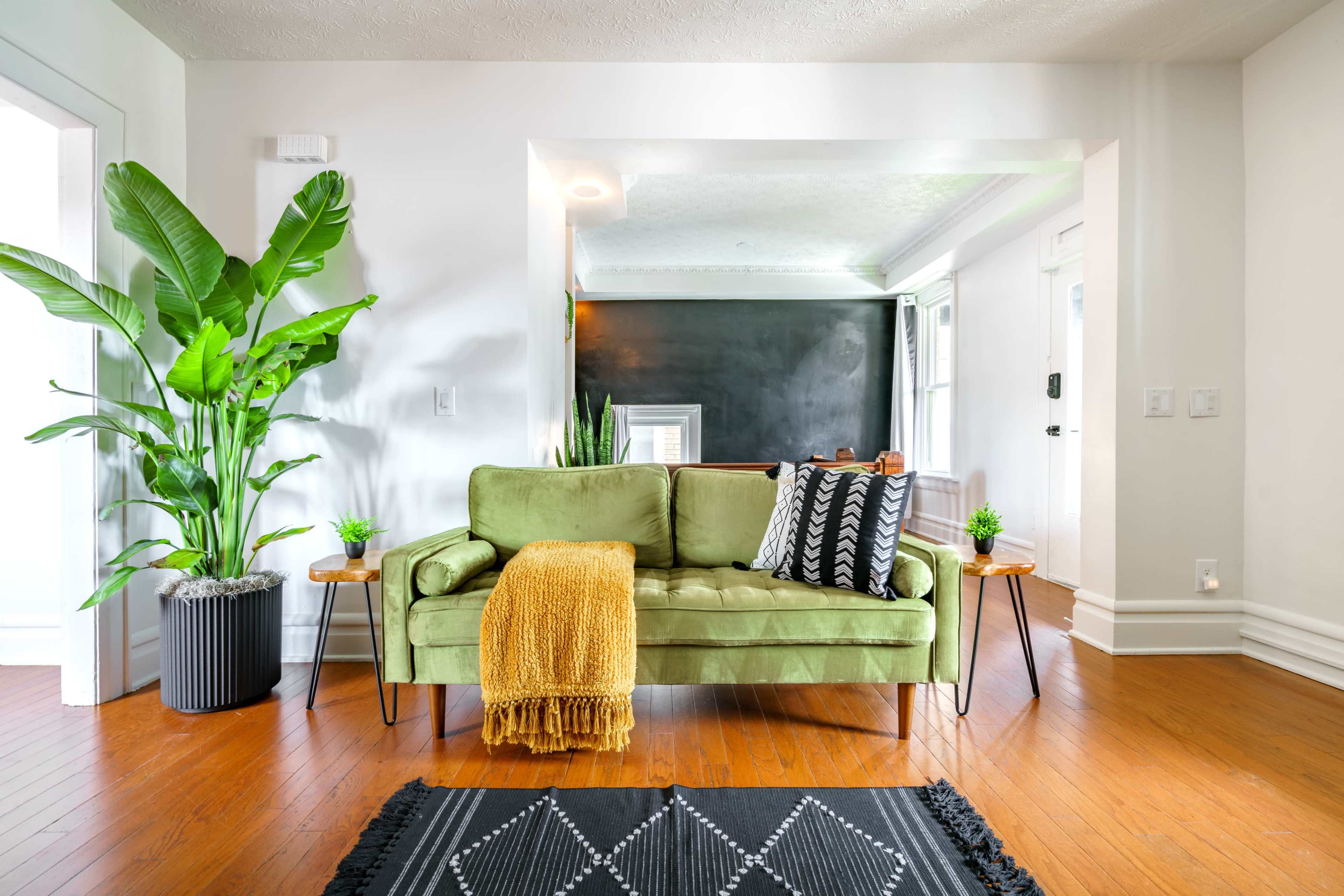 A green sofa with patterned pillows is positioned between two small side tables in a bright room featuring plants and a chalkboard wall.