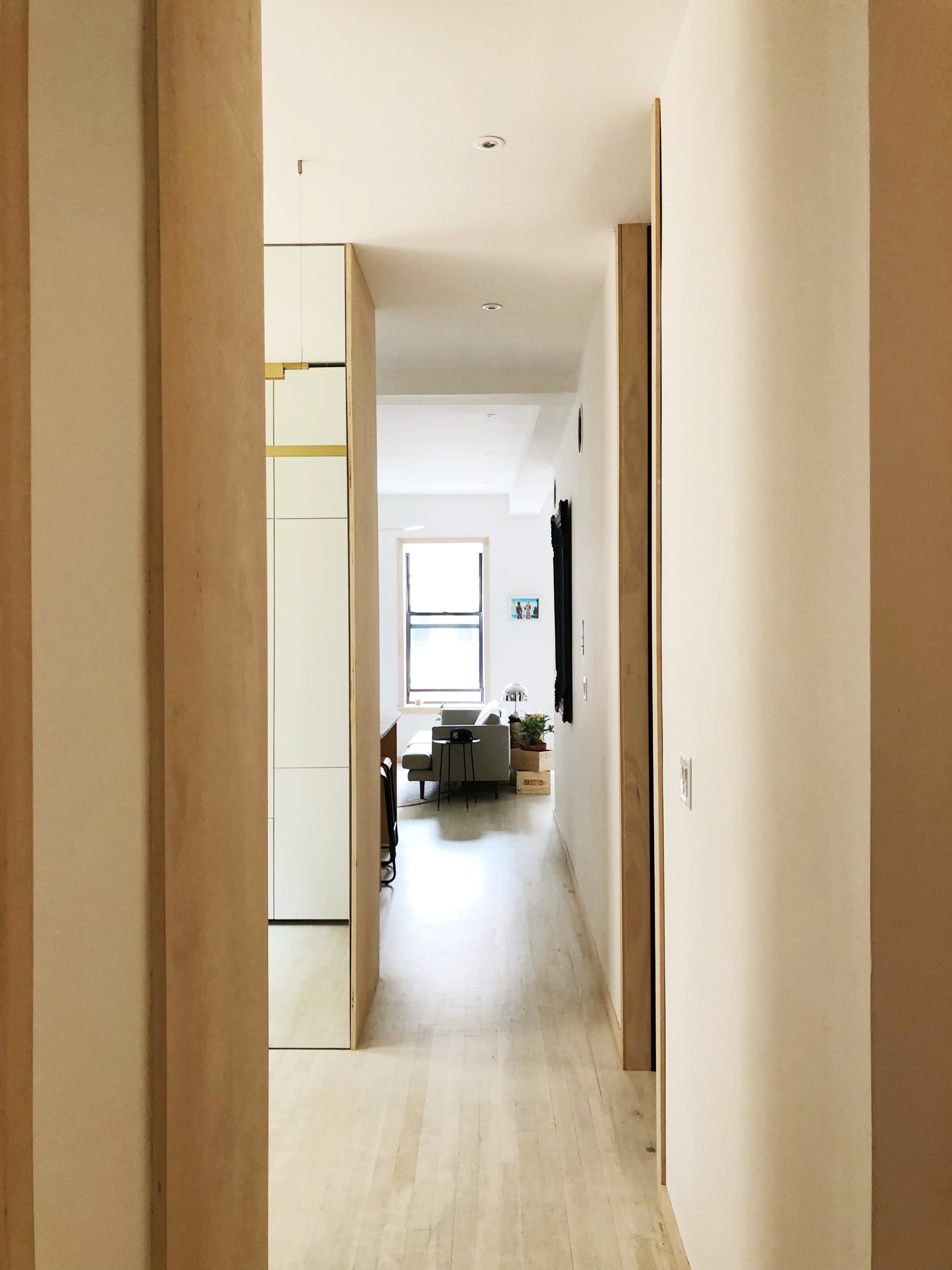 A hallway leads to a glimpse of a living area featuring a plant and sofa.