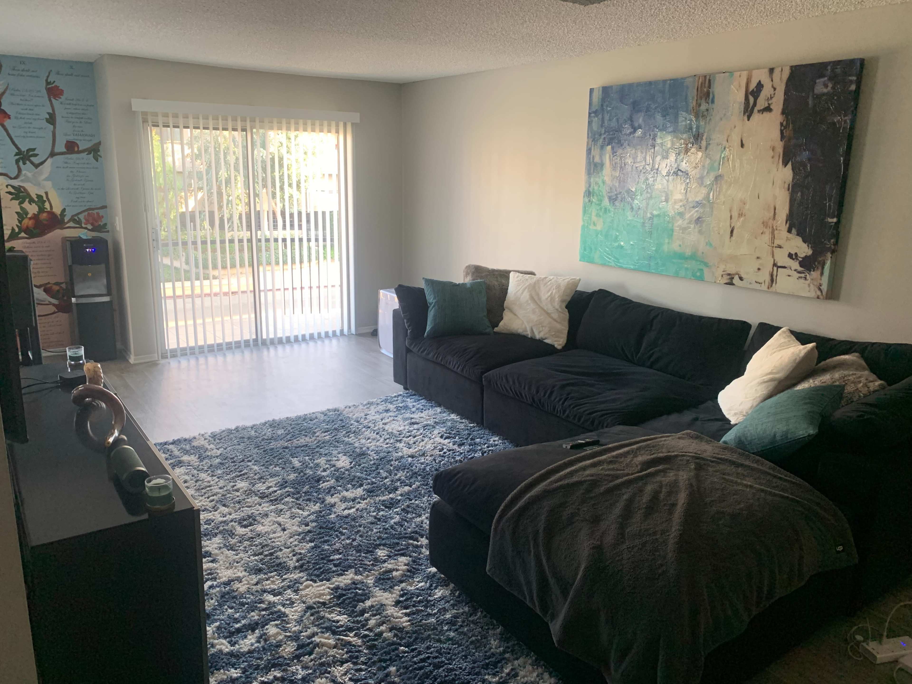 The living room features a dark sectional couch, a large abstract painting on the wall, a blue shag rug, and sliding glass doors leading to a patio.