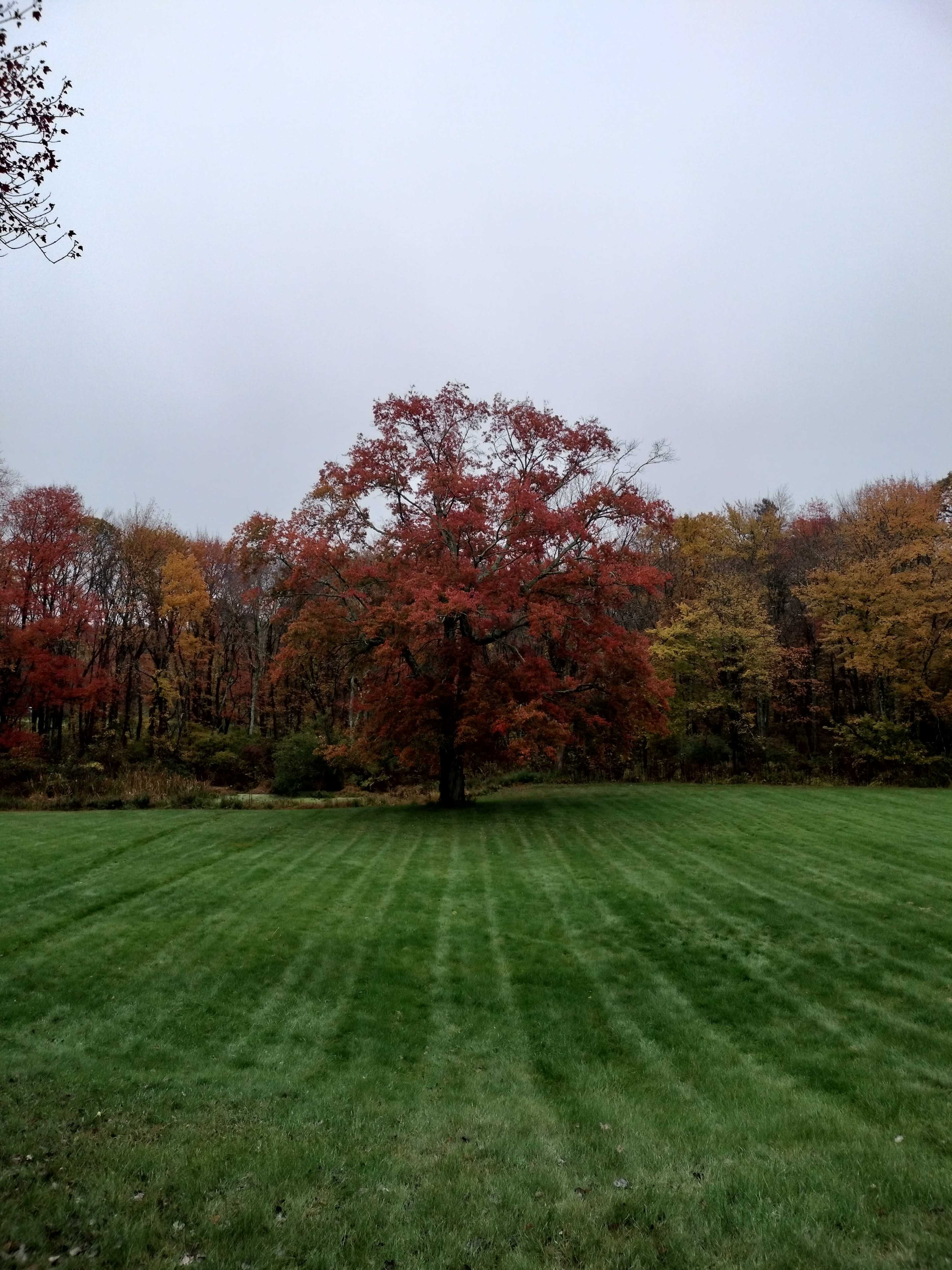 Country pastures, green heaven Image in Pomfret, Pomfret, CT