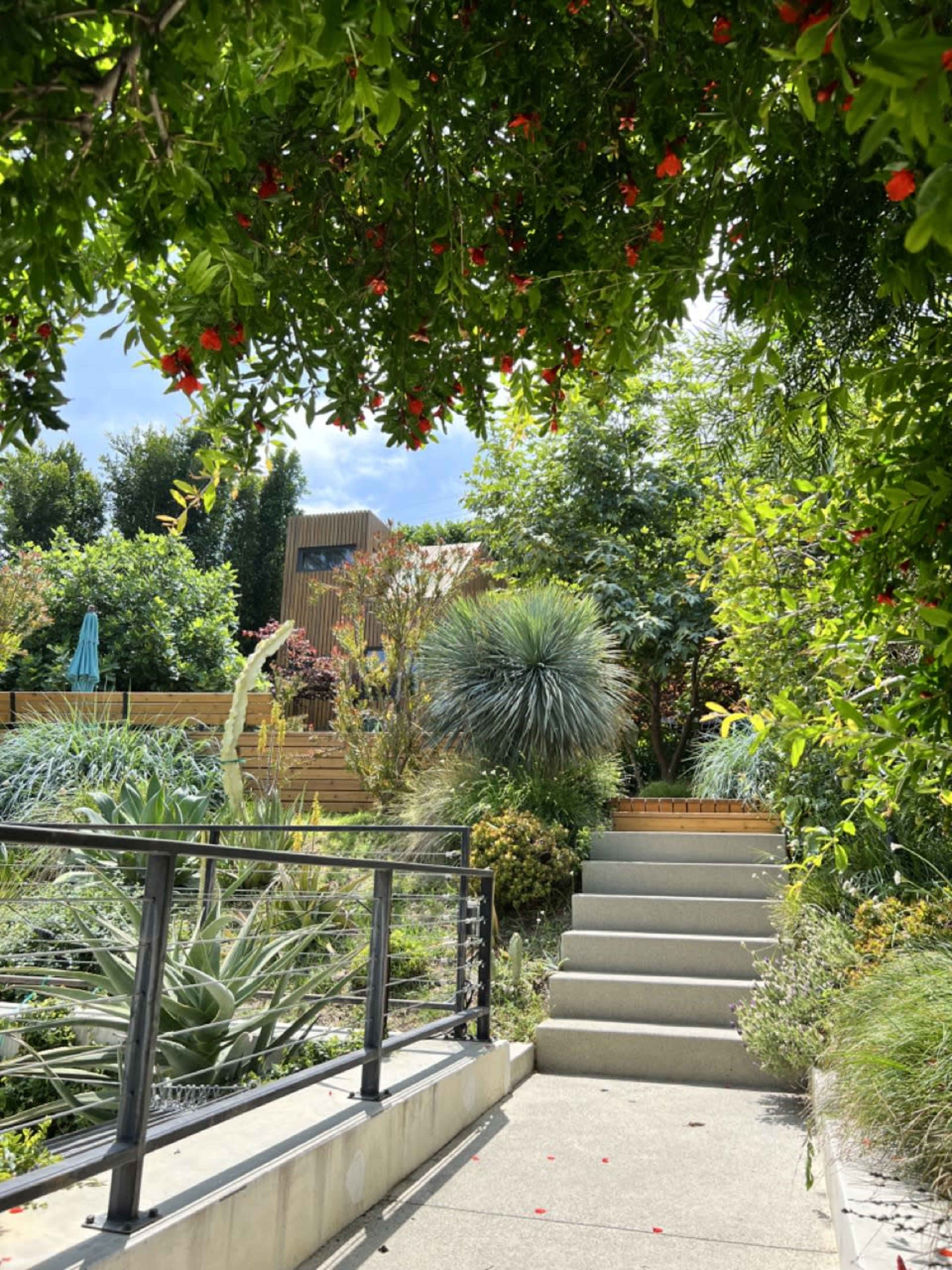A stone pathway leads up a set of stairs surrounded by lush greenery and plants in a garden.