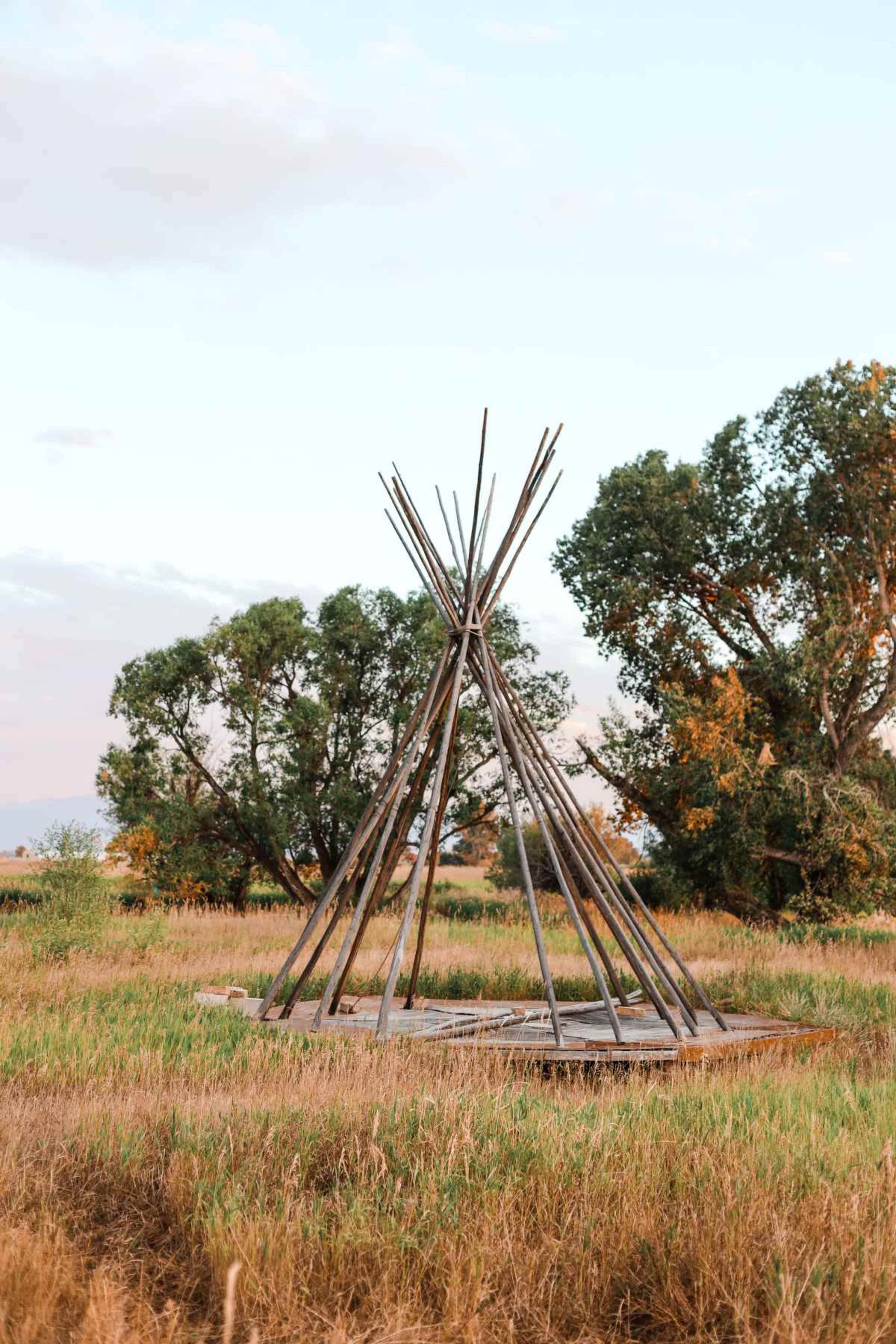 A teepee made of wooden poles stands in a grassy field surrounded by trees.