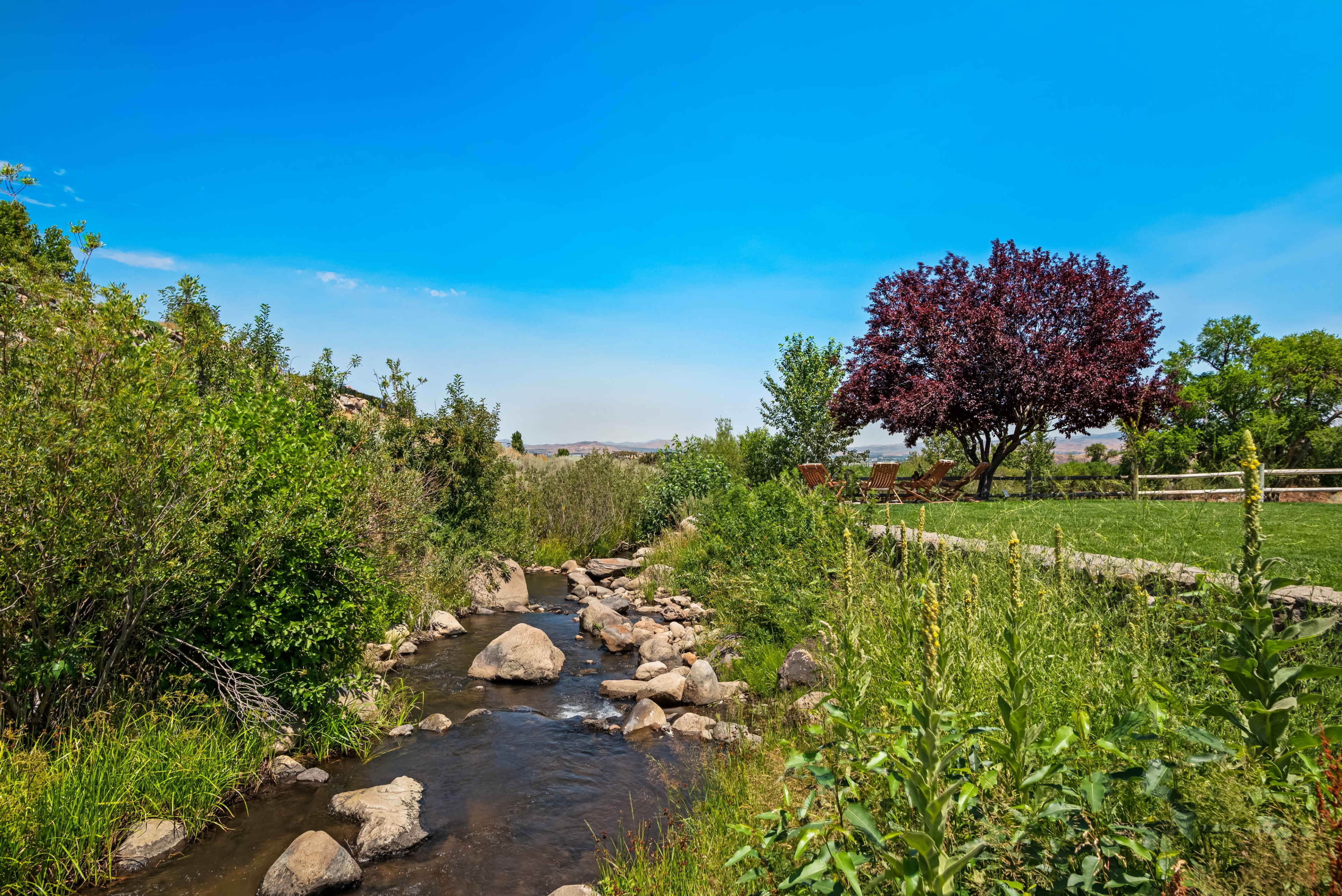 A clear stream flows through lush greenery, with a large tree and a grassy area in the background under a bright blue sky.