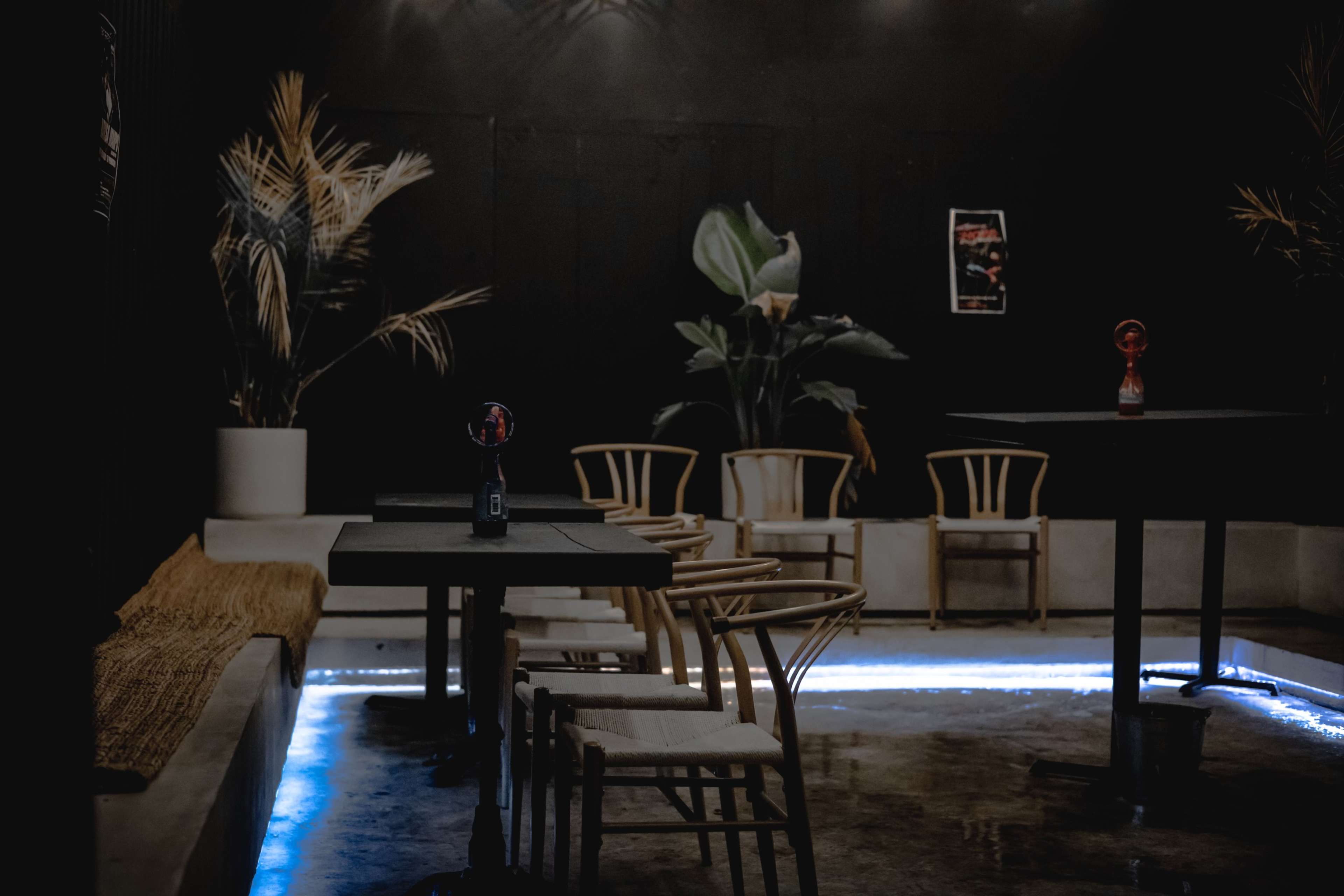 A dimly lit interior of a modern cafe features wooden tables and chairs, with potted plants in the background and a strip of blue LED lighting along the floor.
