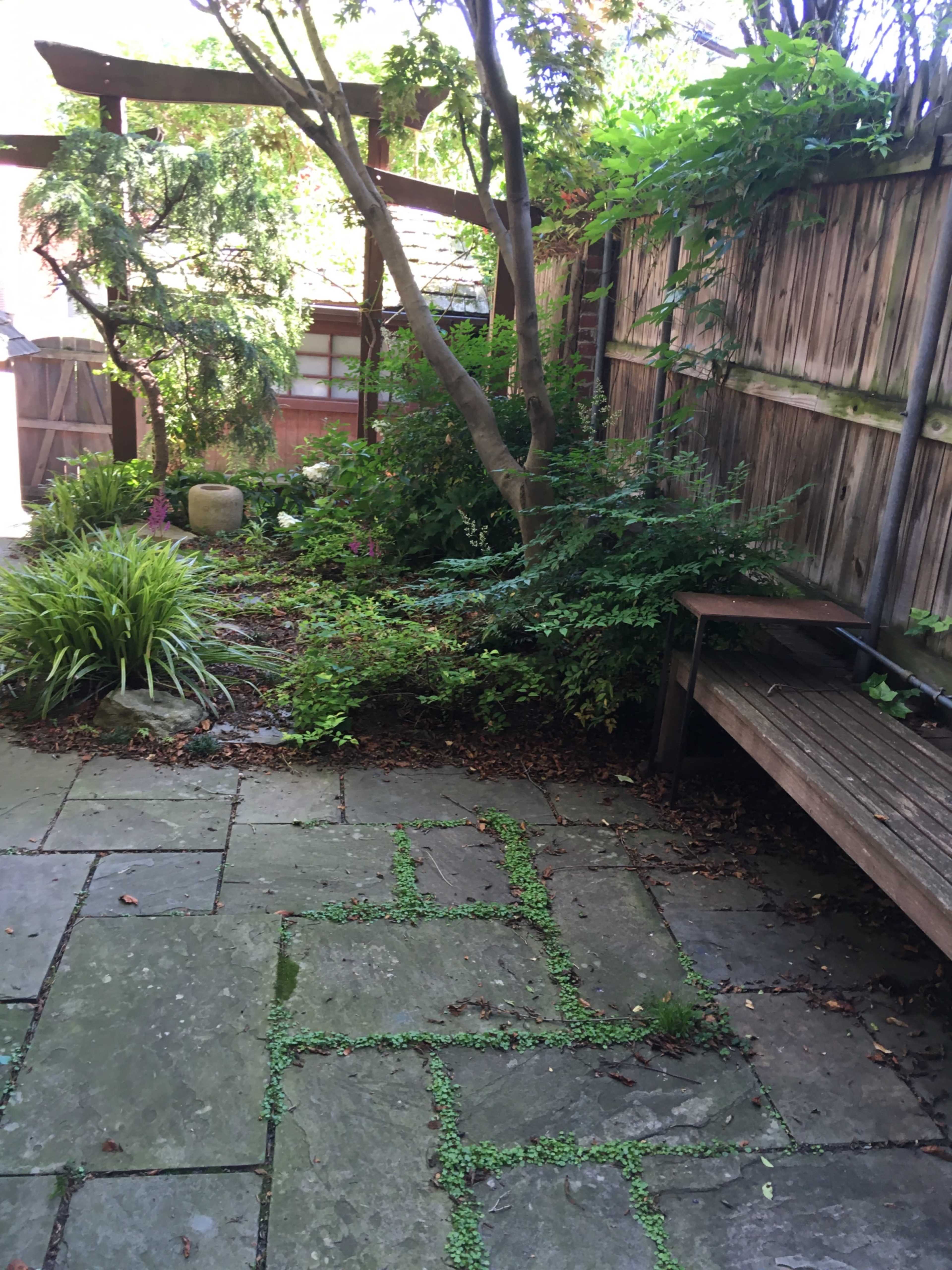 A stone pathway leads to a small garden area with various plants and a wooden bench beside a fence.