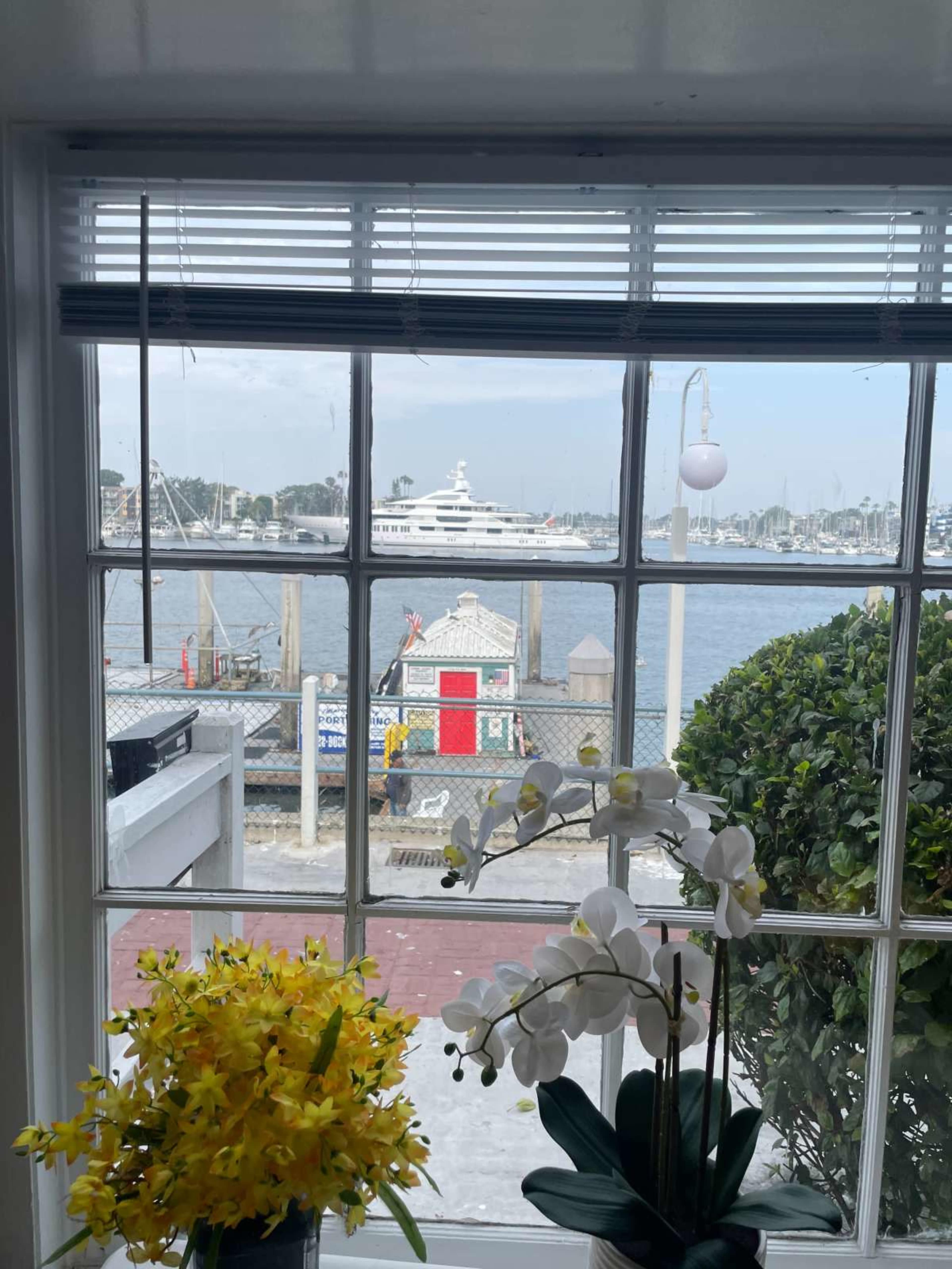 The image shows a view through a window featuring a harbor with a yacht and a colorful shed at the dock, framed by decorative flowers in the foreground.