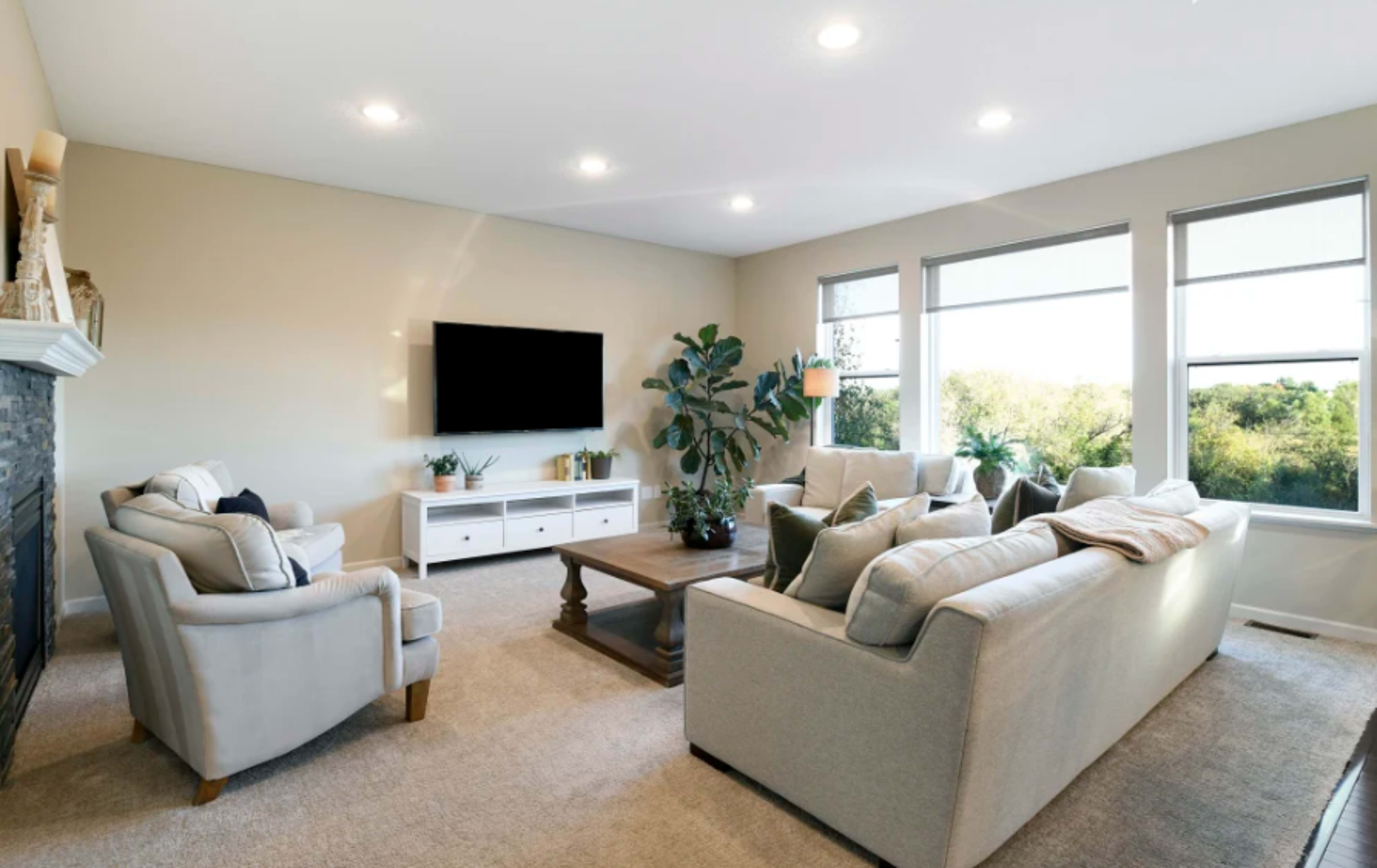 Bright & Spacious Home Overlooking Nature Preserve – Perfect for Small Gatherings Image in Victoria, Victoria, MN