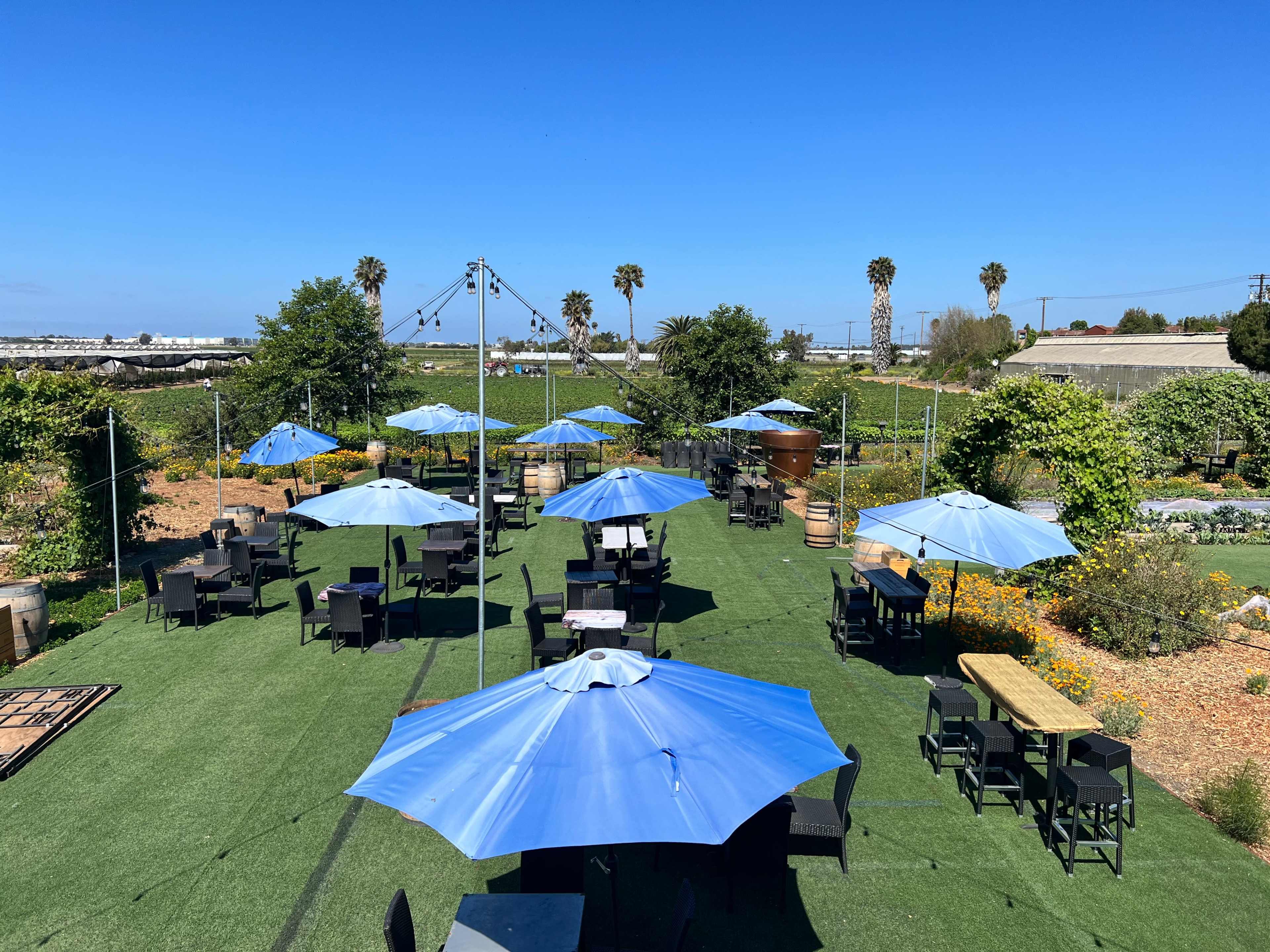 An outdoor dining area features numerous blue umbrellas over black tables and chairs, surrounded by greenery and palm trees.