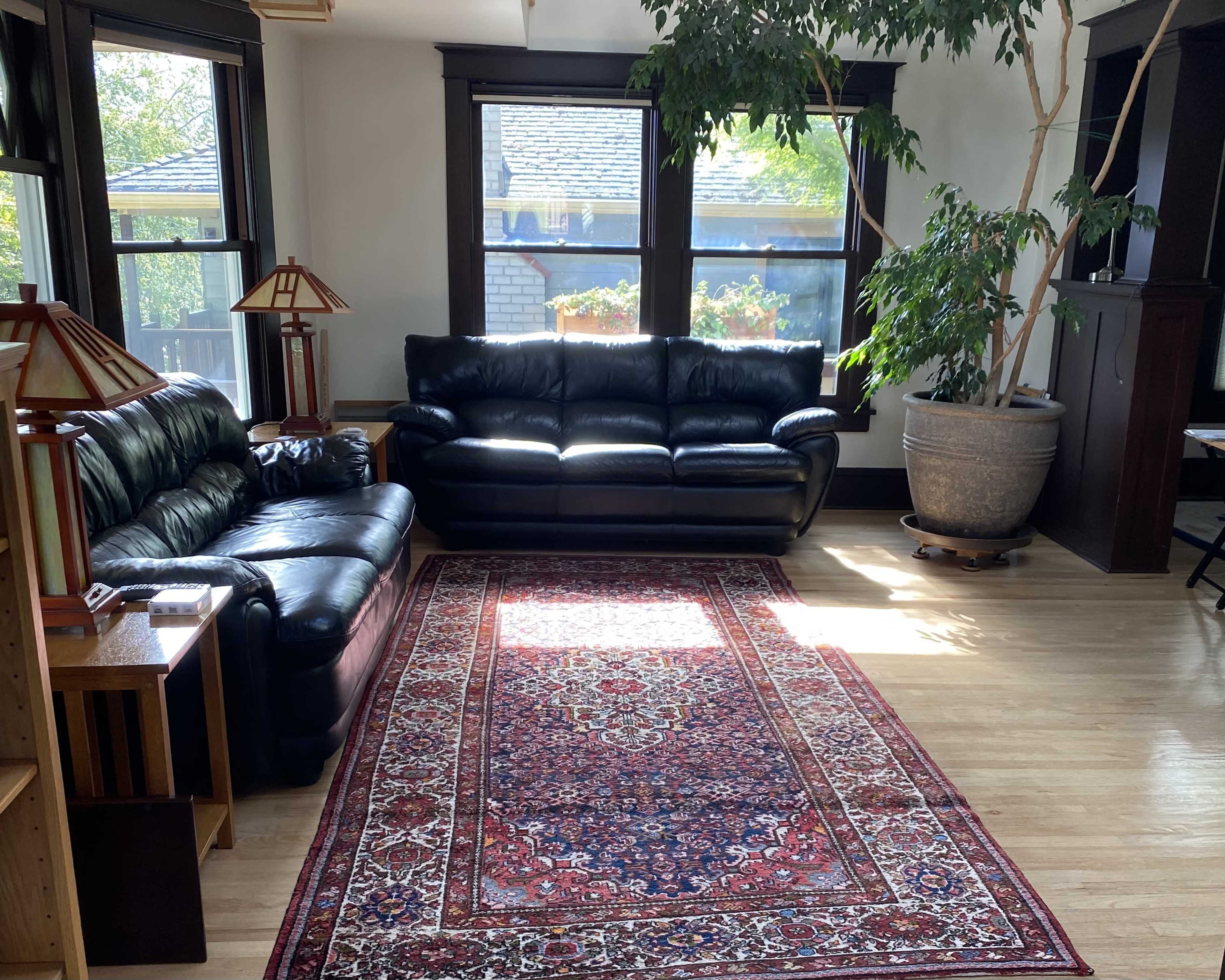 A living room with two black leather sofas, a large potted plant, a decorative rug, and several windows allowing natural light to illuminate the space.