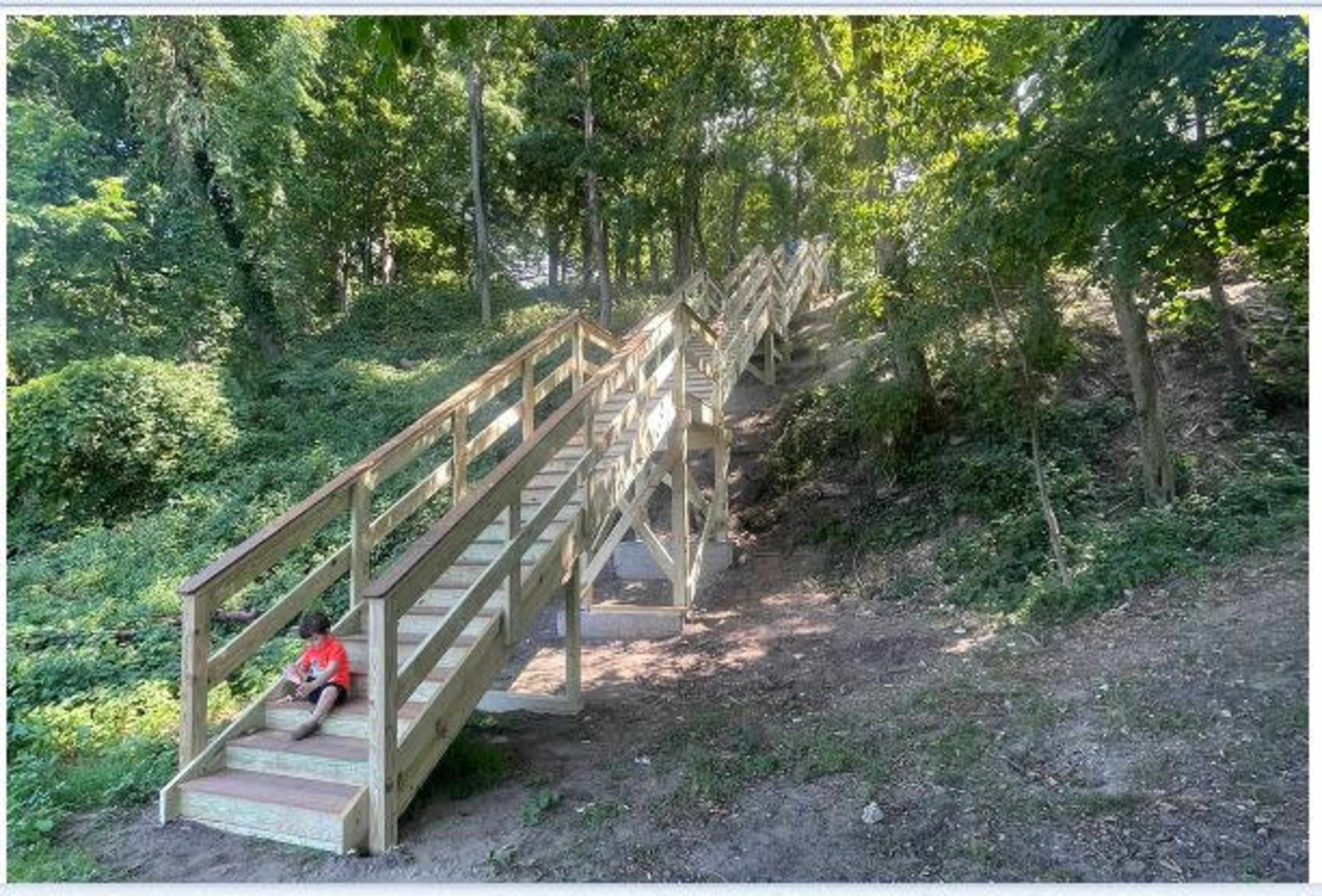 A child sits at the bottom of a wooden staircase that ascends through a wooded area.