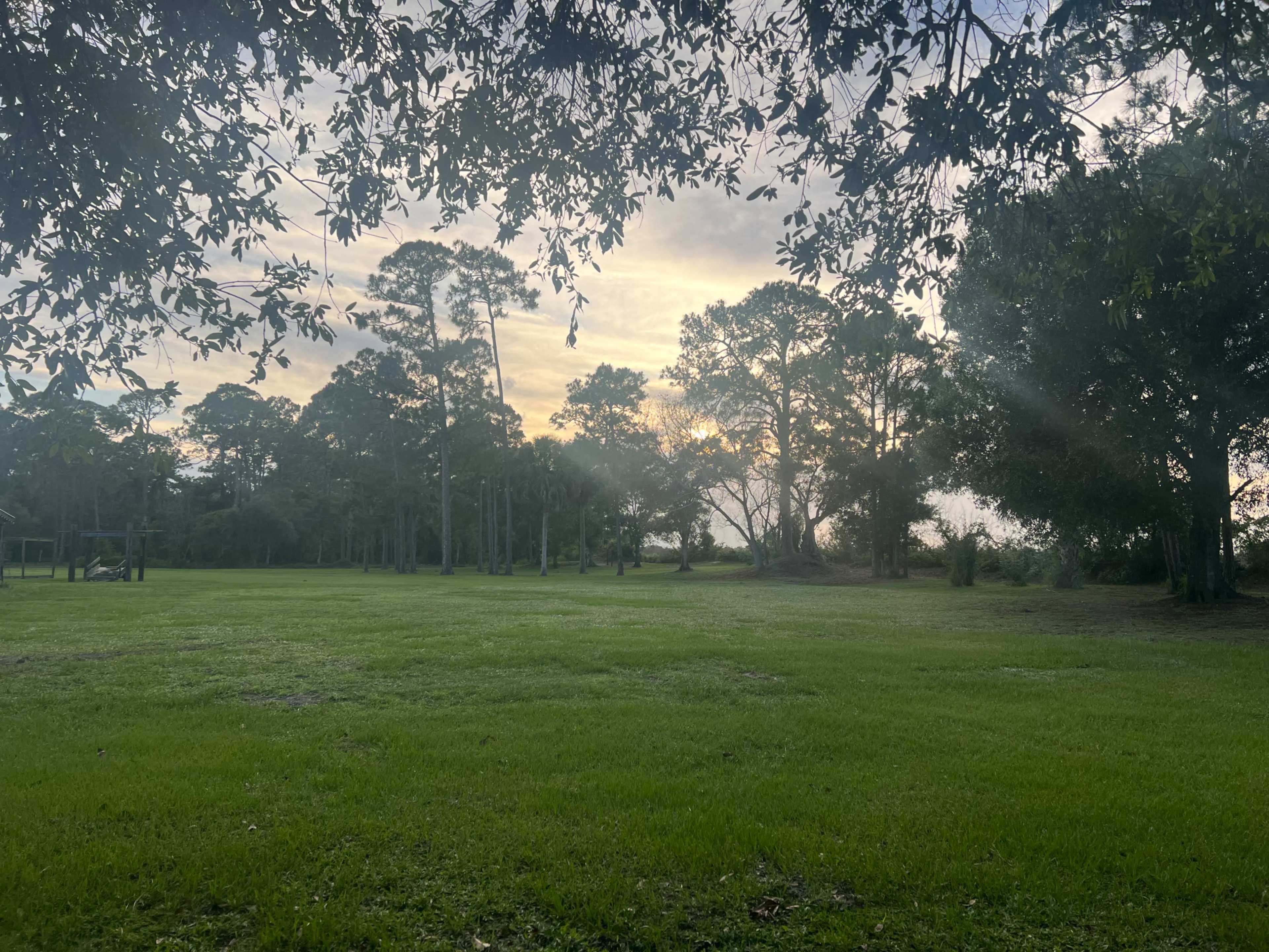 The image shows a grassy field framed by trees at sunset, with a soft glow in the sky among the foliage.