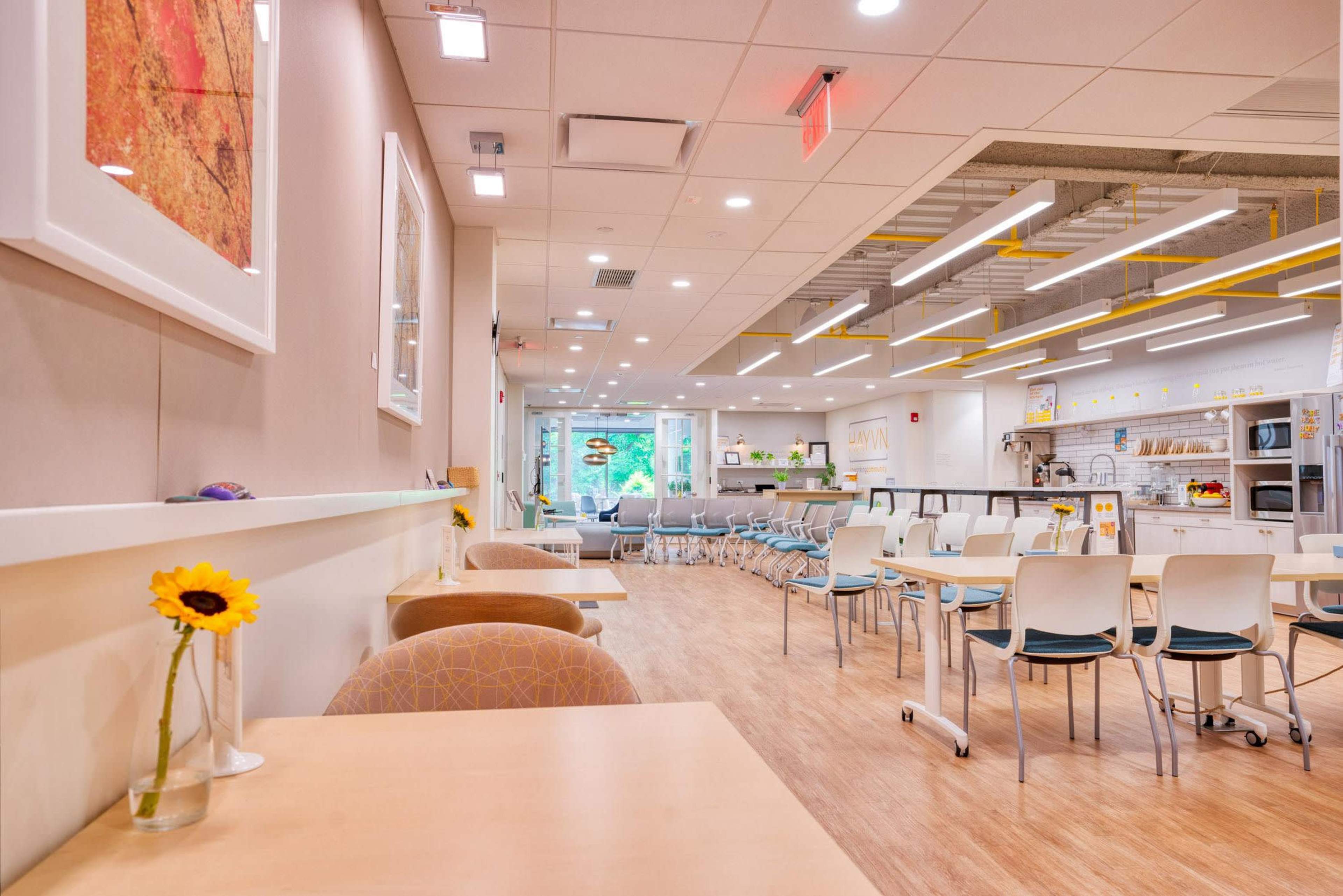 A modern, brightly lit café with wooden floors, seating arrangements, and a view of a green outdoor area through large windows.