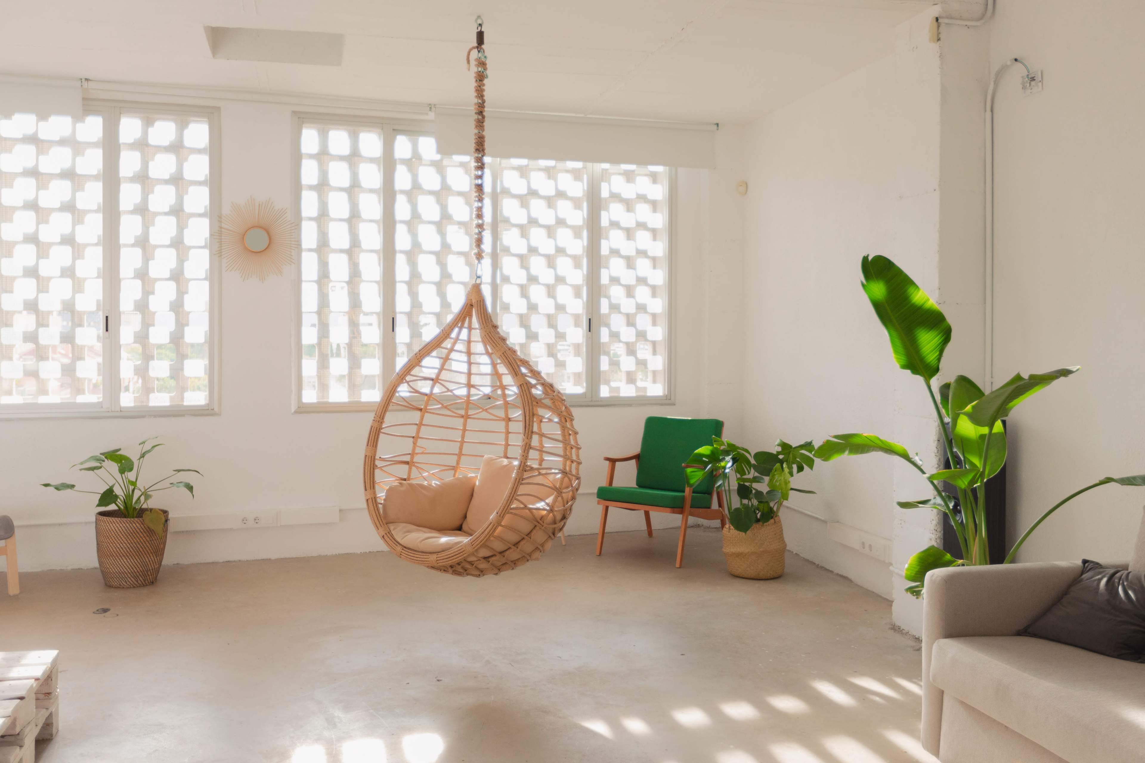 A minimalist room with a hanging rattan chair, green potted plants, and a single green chair near large windows with patterned panes.