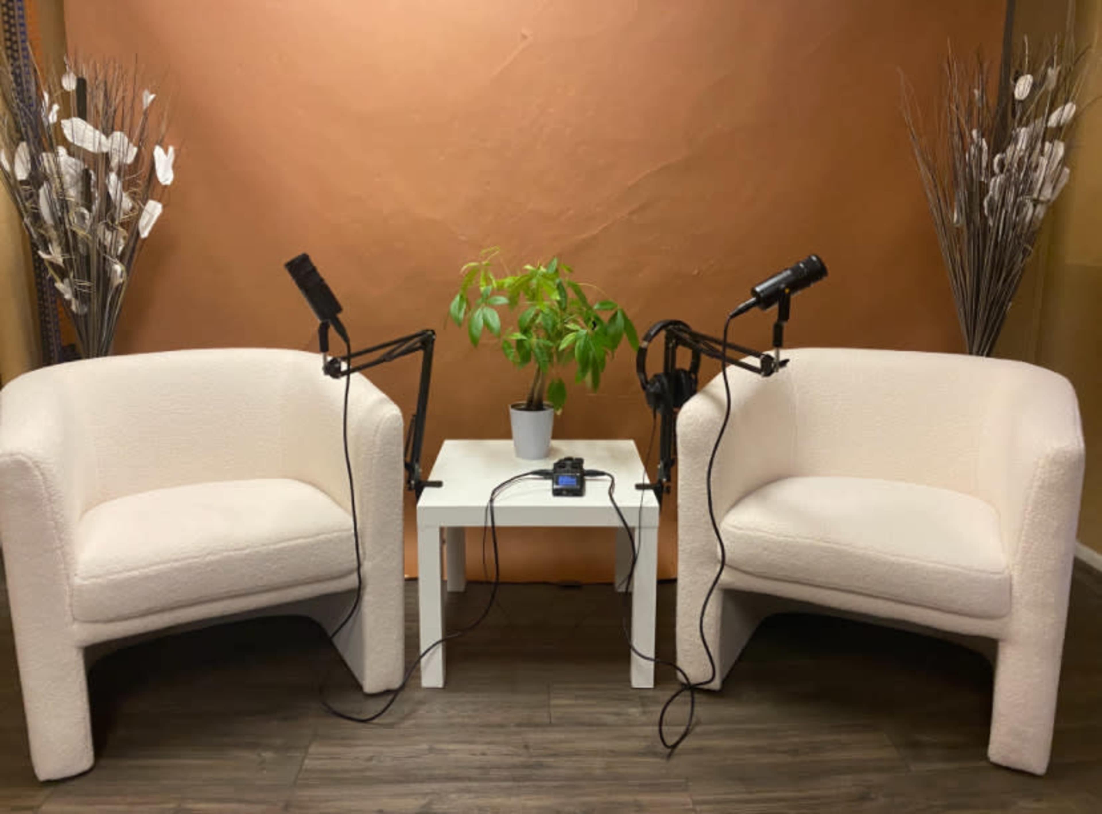 The image shows two white armchairs facing each other, with a small table and a potted plant in the center, along with two microphones mounted on stands.
