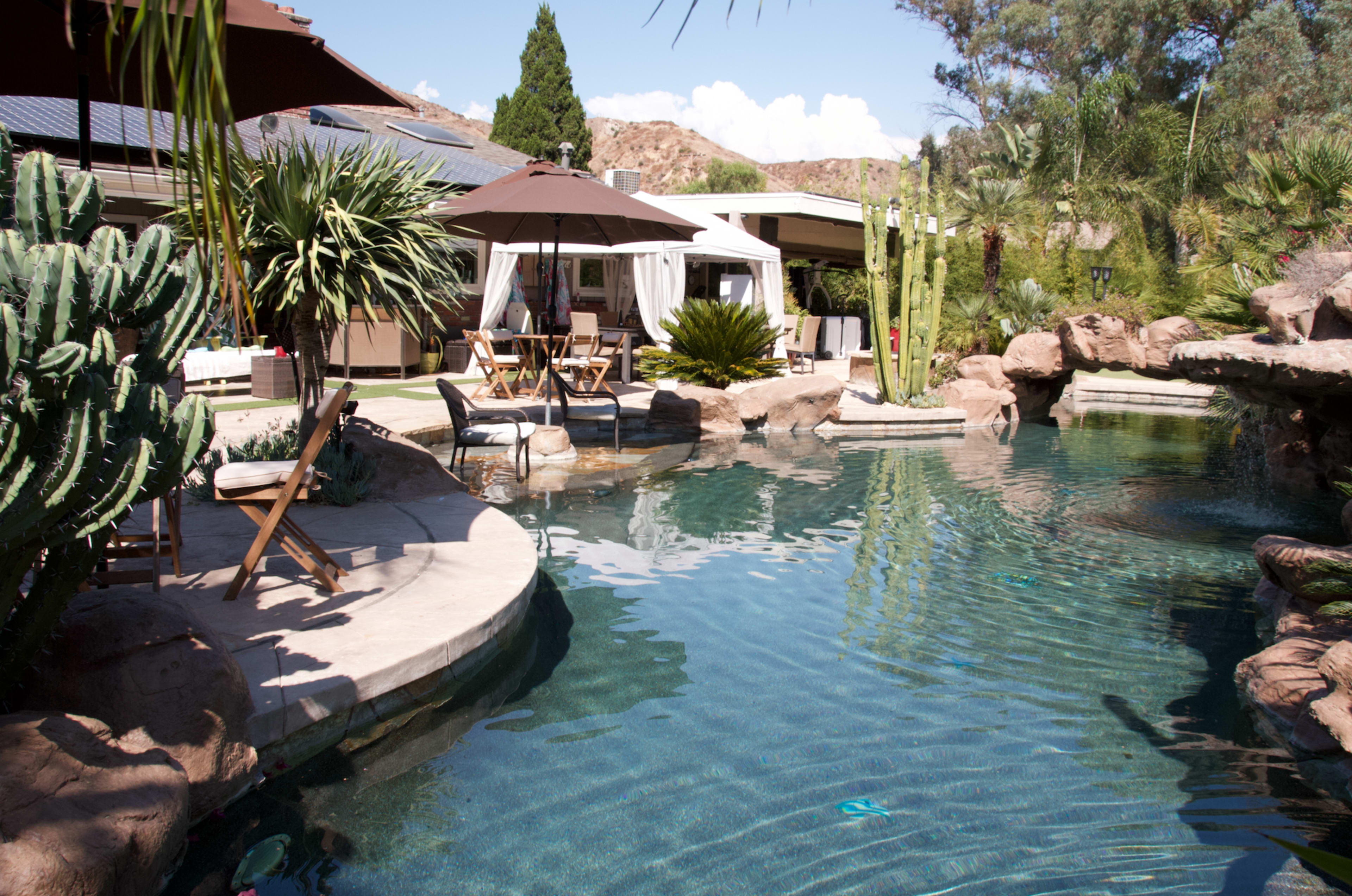 A landscaped pool area surrounded by palm trees, cacti, and lounge furniture under a shaded umbrella.