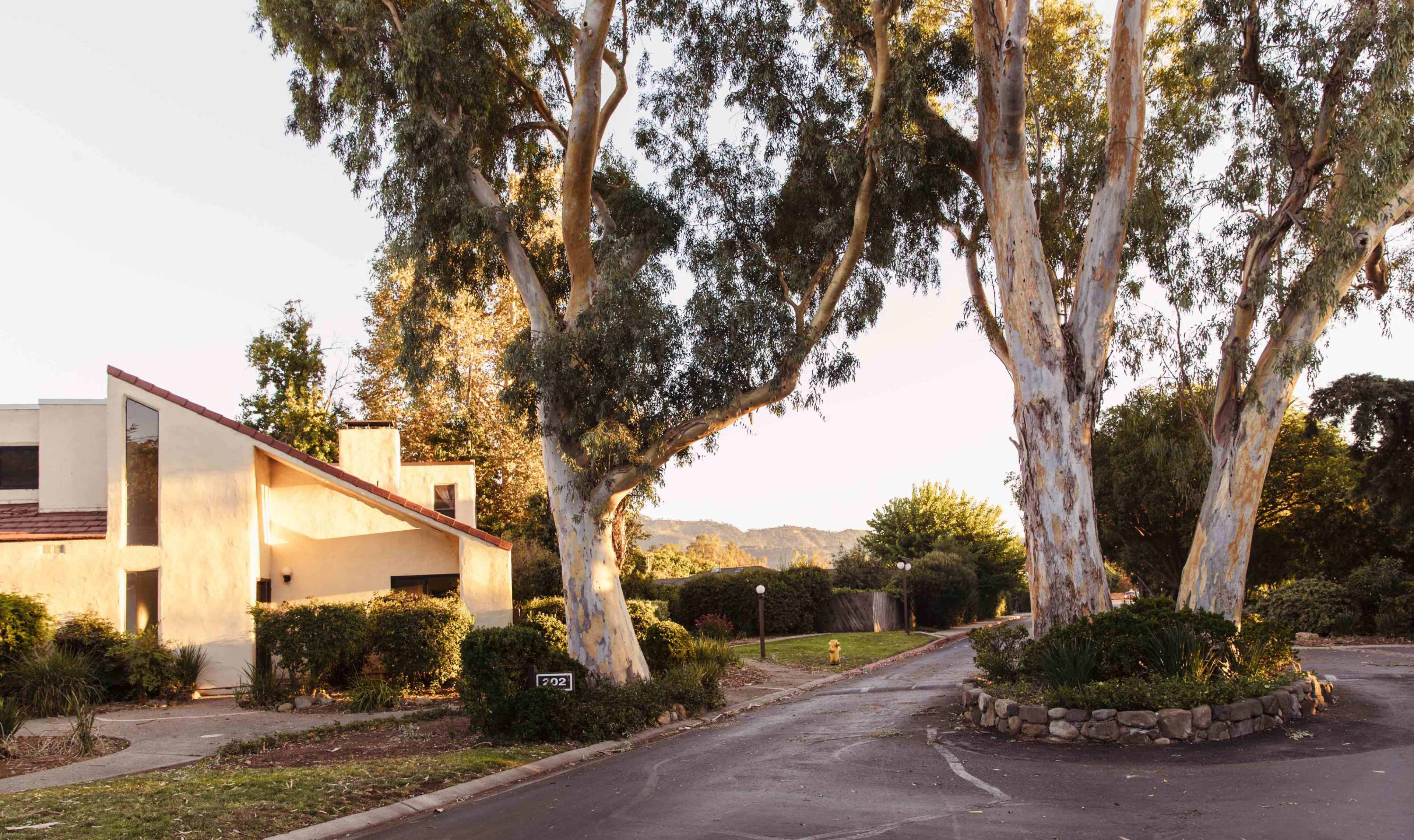 The image shows a residential area with a house partially obscured by large eucalyptus trees at the intersection of two roads.